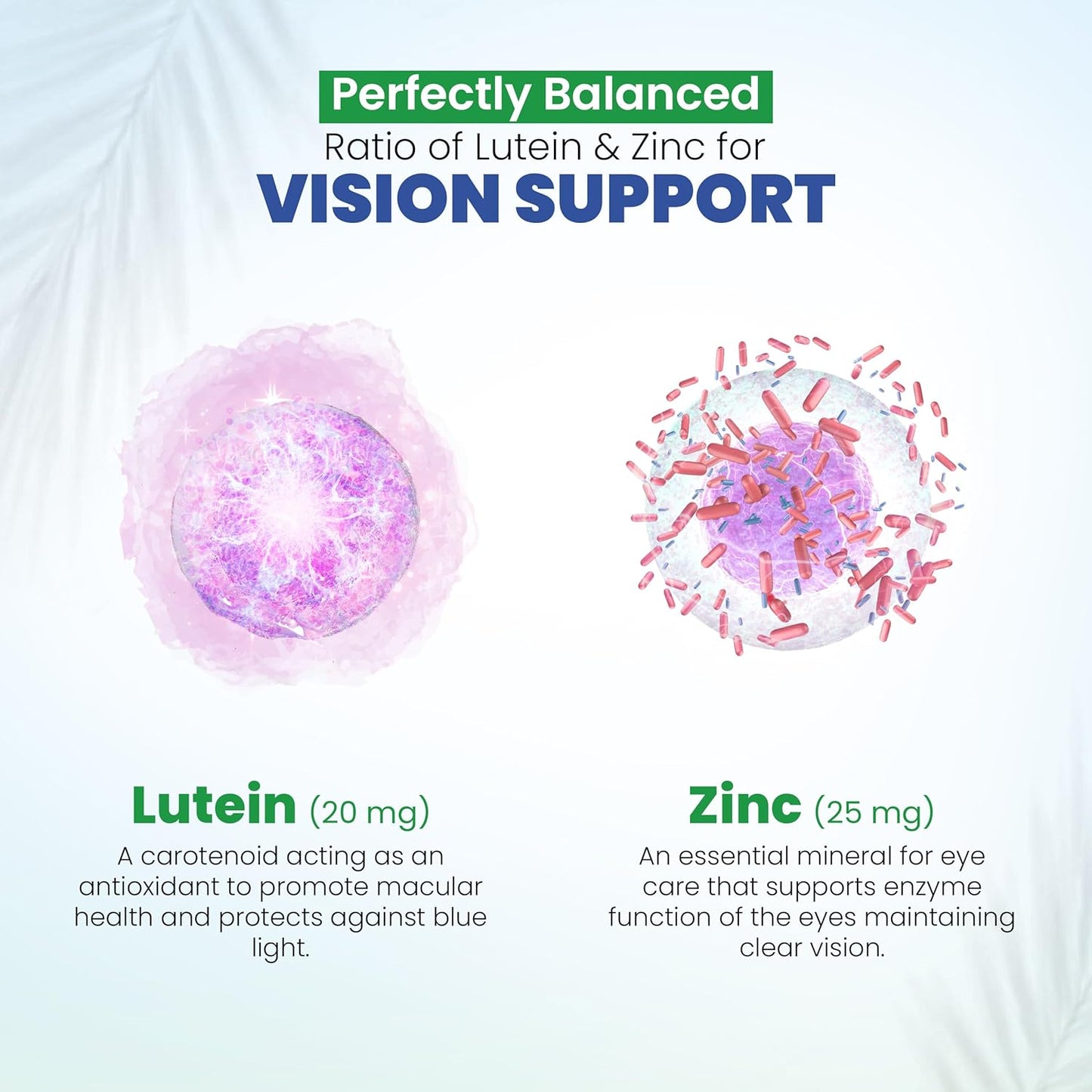 Macular Health Eye Vitamins with Lutein, Zinc, Vitamin A & Bilberry | Areds 2 Formula for Red & Dry Eyes | Vision Support Supplements (60 Capsules)