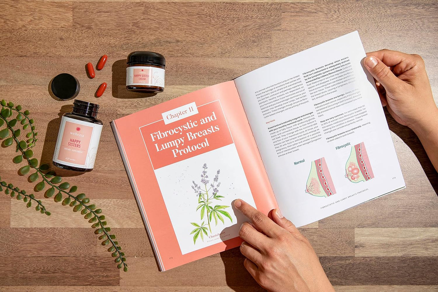 Magdalena's Happy Sisters Wellena Supplement | Promotes Estrogen Balance, Lymphatic System Health | 60-Day Supply