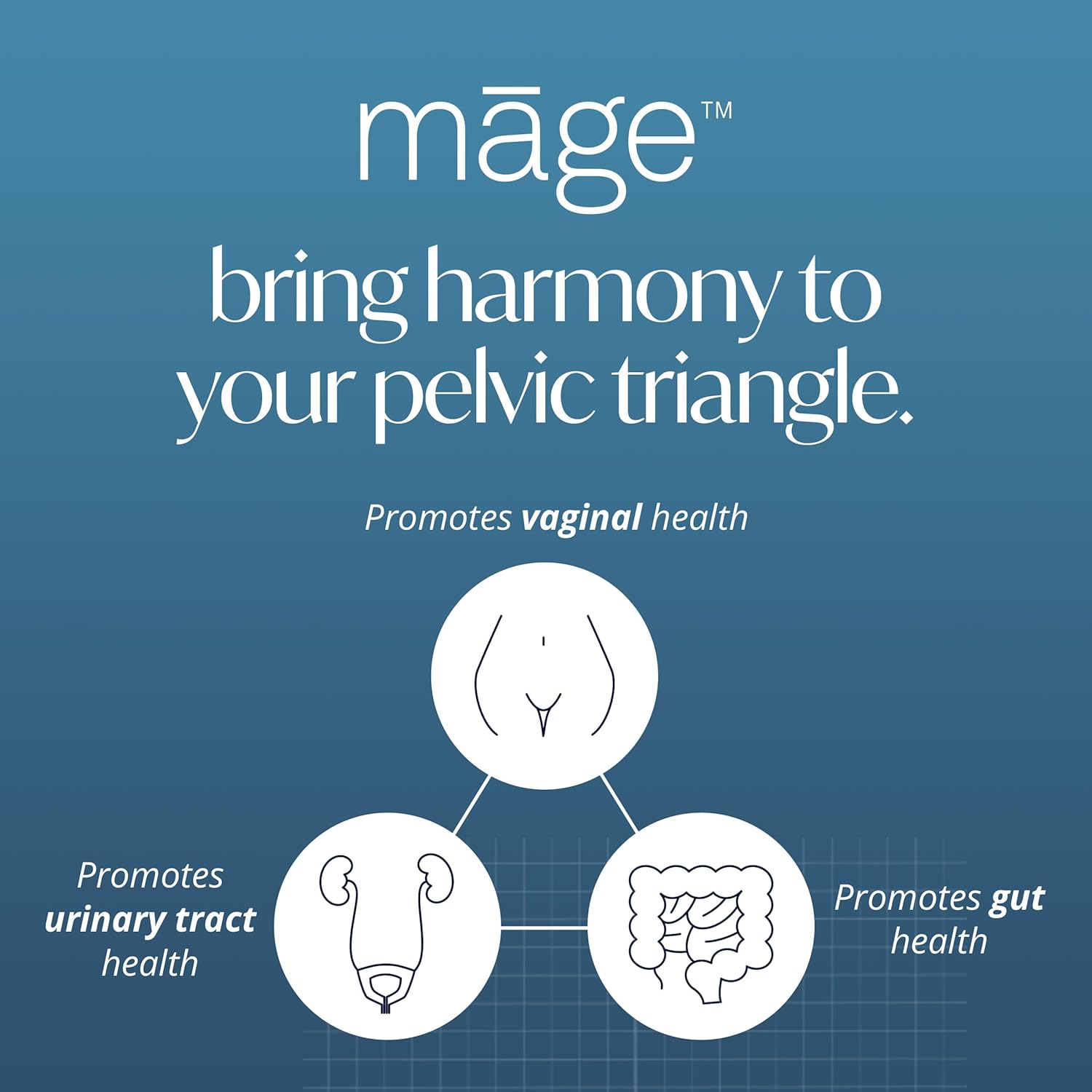 MAGE Solv Wellness Māge Probiotic for Women, Daily Prebiotic & Probiotics Blend, Supports Digestive & Vaginal Health, 30 Capsules