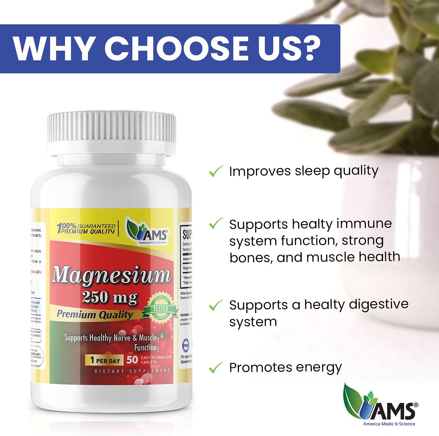 Magnesium Oxide Supplement 250mg (50 Caplets) for Nerve & Muscle Health - America Medic & Science - 1 Bottle Pack - Men & Women - Exercise Performance Booster