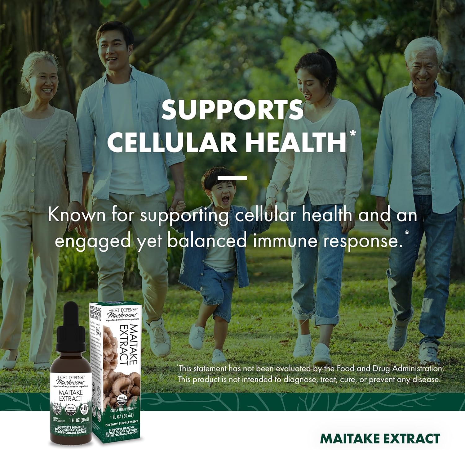 Maitake Extract Liquid Supplement for Immune & Cellular Health - Herbal Dietary Support with Mushroom Mycelium - 1 fl oz