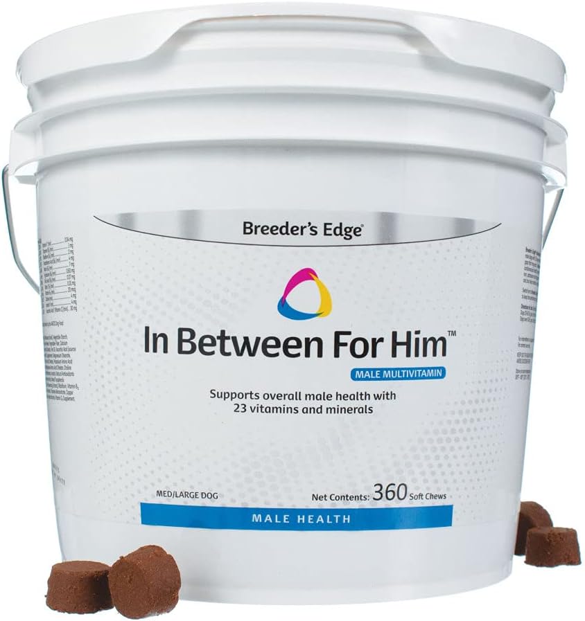 Male Dog Multivitamin: Revival Animal Health Breeder's Edge in Between for Him - 360 ct