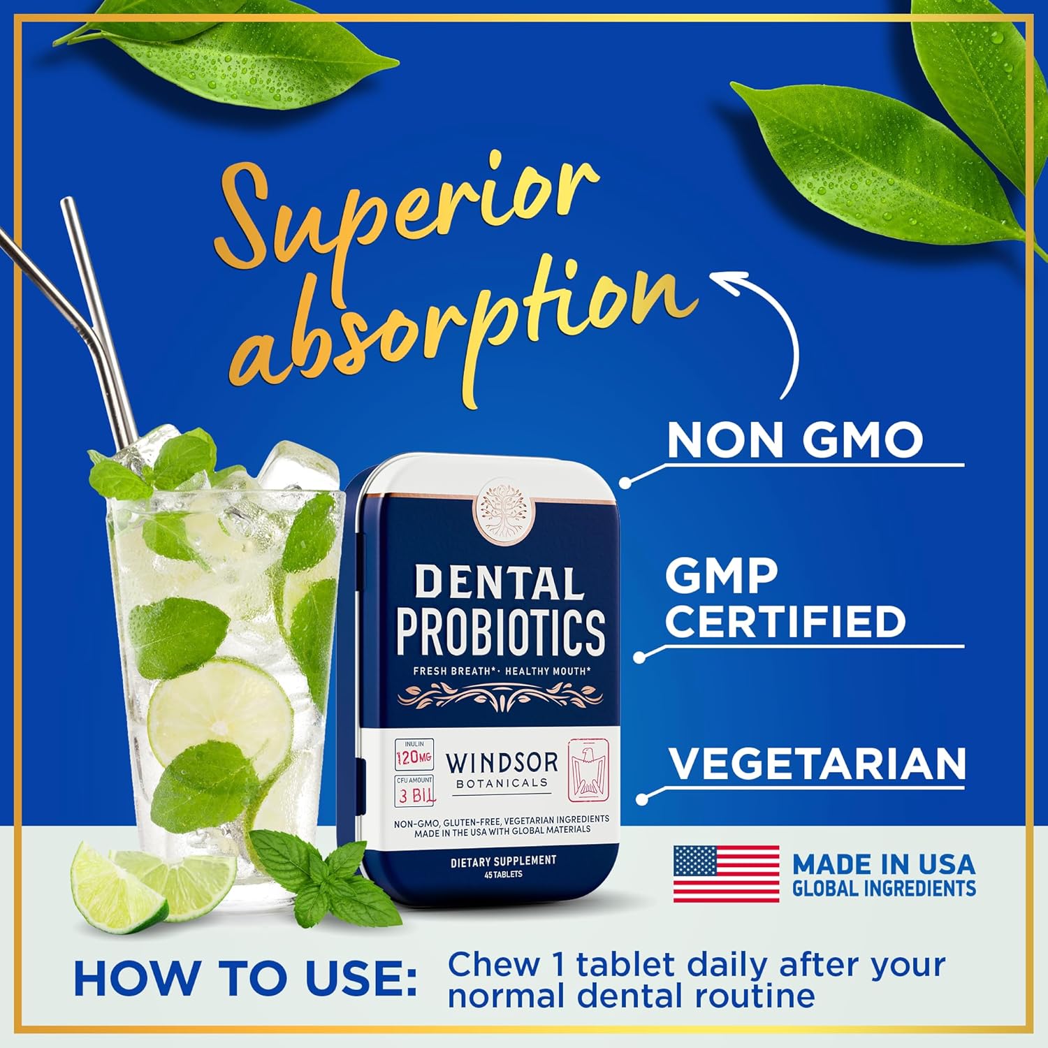 Male Fertility and Dental Health Bundle for Men - Windsor Botanicals Supplement and Probiotics for Wellness