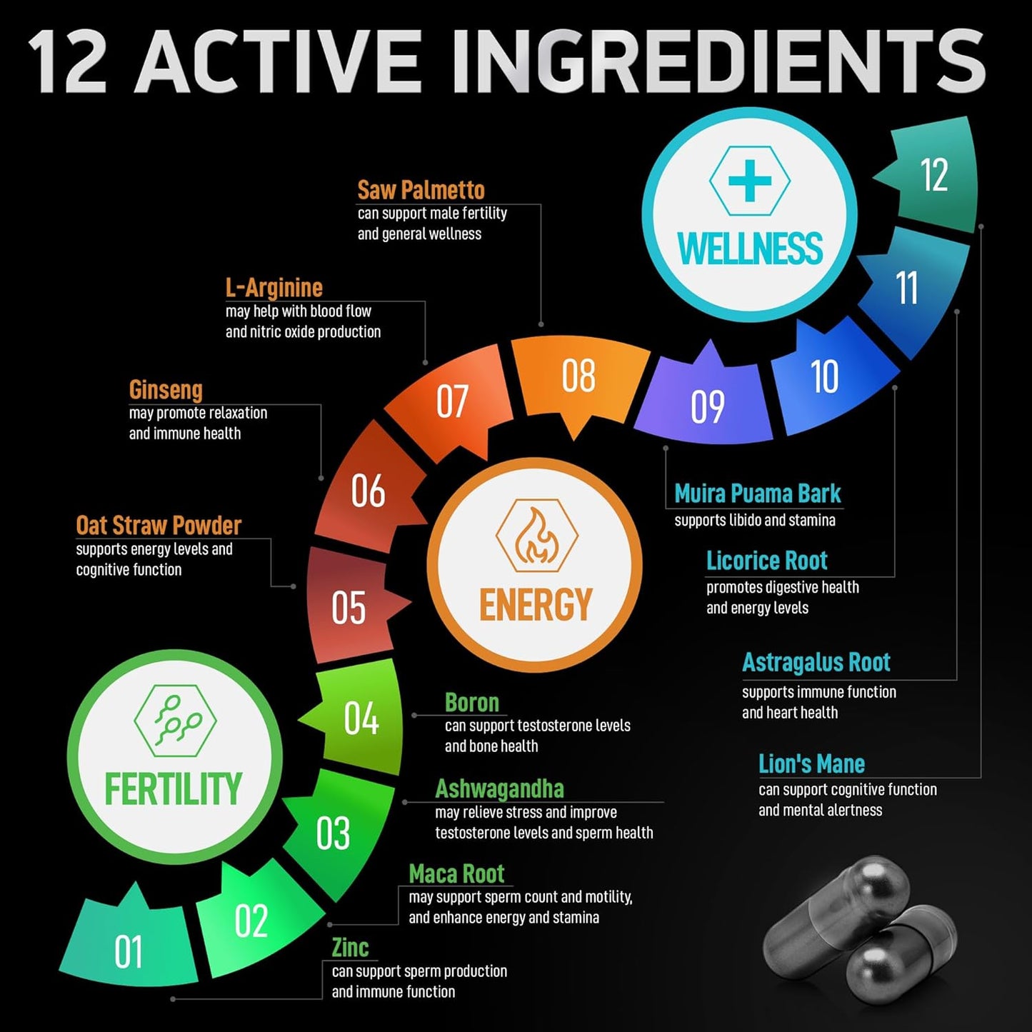 Male Fertility and Dental Probiotics Bundle by BIOACTIVE LABS - Supplements for Men in Convenient Tins