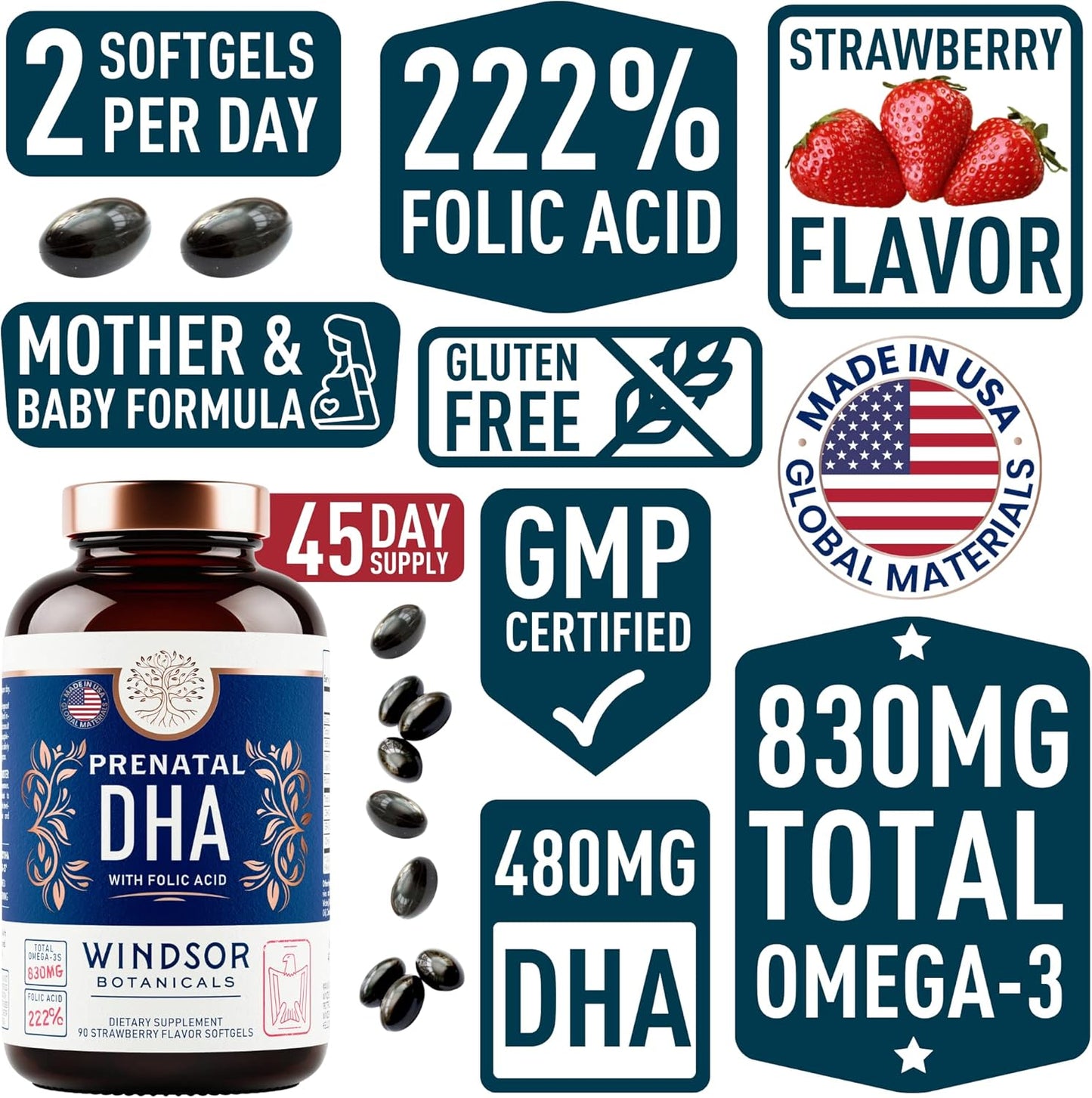 Male Fertility and Prenatal Support Bundle with DHA and Folic Acid by WINDSOR BOTANICALS