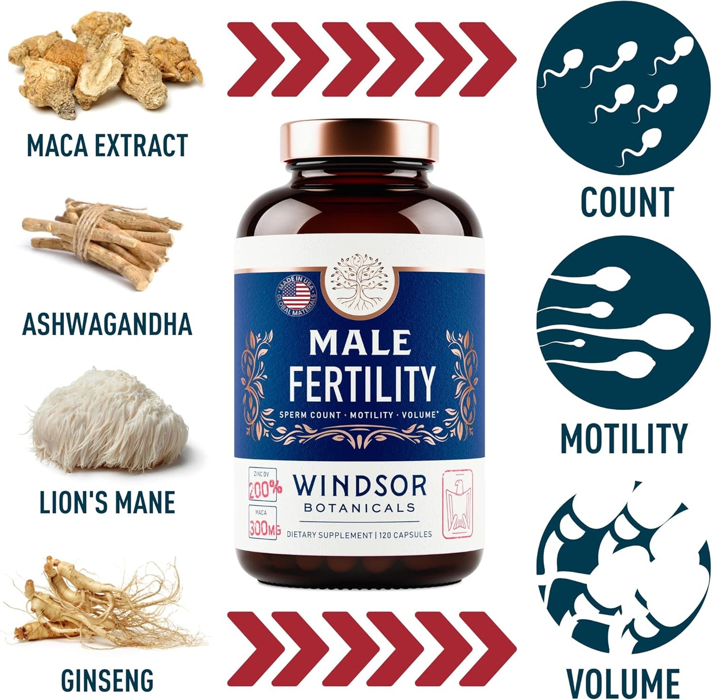 Male Fertility Support Supplements - Windsor Botanicals Prenatal Vitamins for Men - Conception Aid with Zinc, Maca, Ashwagandha, L Arginine - 2-Pack, 240 Pills