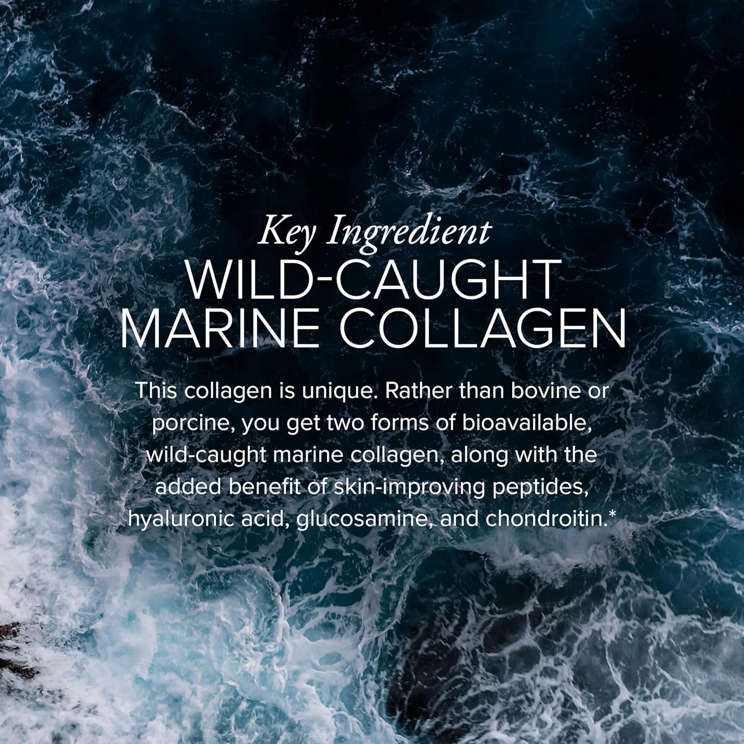 Marine Collagen Peptides Powder for Skin, Hair & Nails - Hydrolyzed Type I & II Fish Collagen - 20 Packets