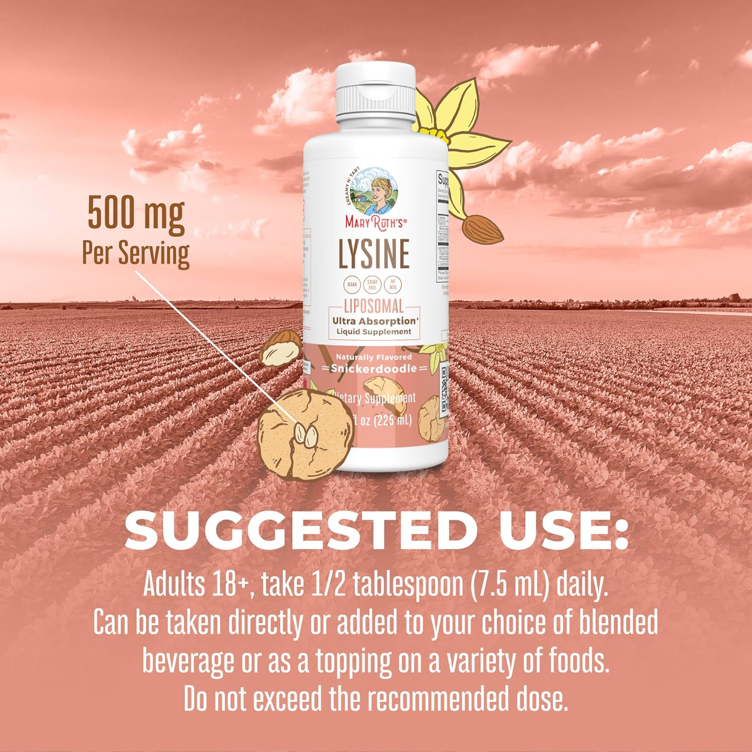 MaryRuth Organics Liposomal Lysine & Immunity Vitamins | Snickerdoodle & Ginger Vanilla Flavors | Clean Label Project Verified | Vegan & Non-GMO