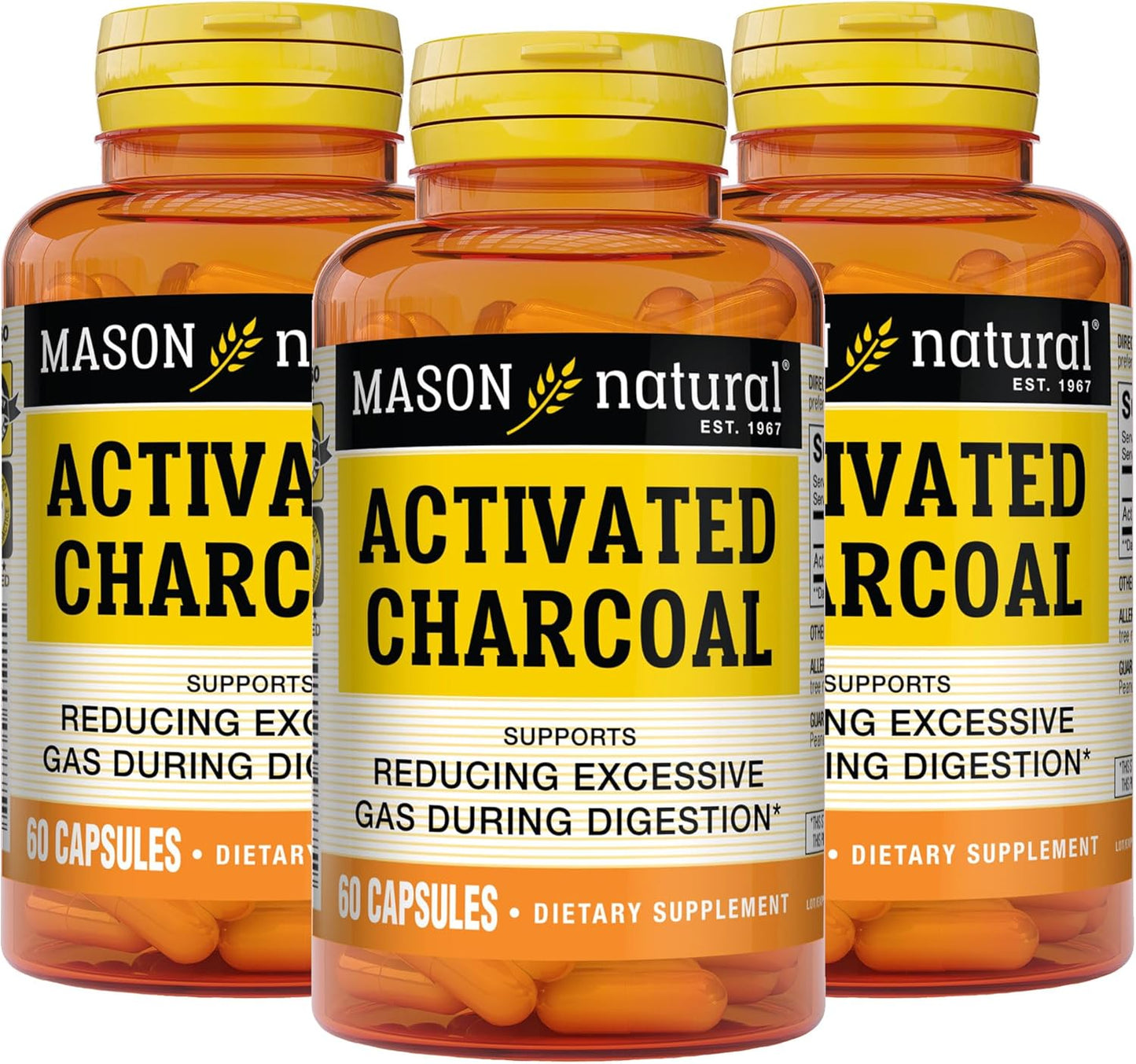 MASON NATURAL Activated Charcoal Capsules - Relieves Gas & Bloating, Supports Detox, Highly Absorbent, 180 Capsules