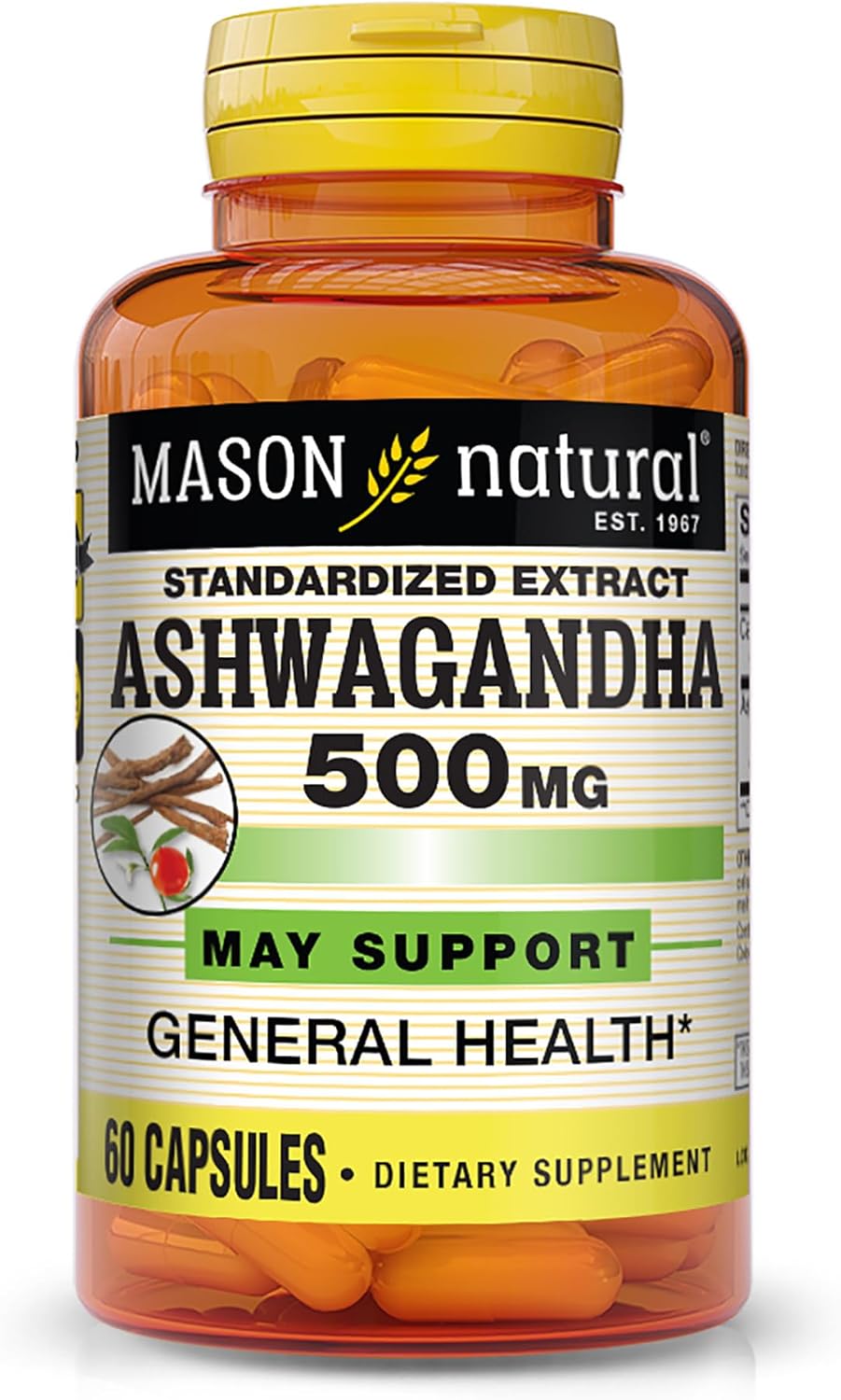 Mason Natural Ashwagandha 500 mg Herbal Supplement for Stress & Energy - 60 Day Supply