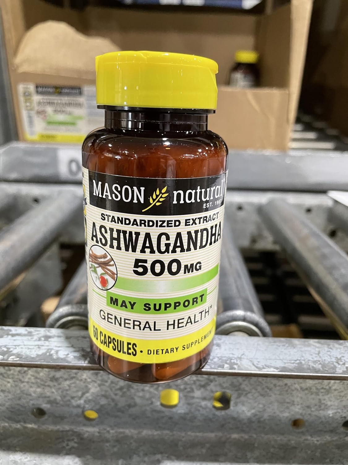 Mason Natural Ashwagandha 500 mg Herbal Supplement for Stress & Energy - 60 Day Supply