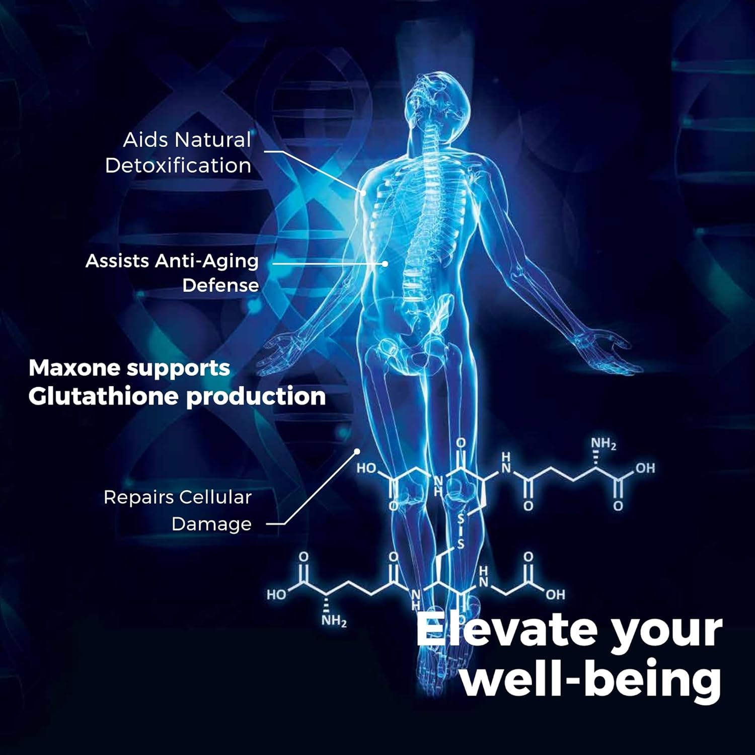 Max International Max One Riboceine Supplement - 60 Vegetable Capsules (Pack of 2) - 30 Servings