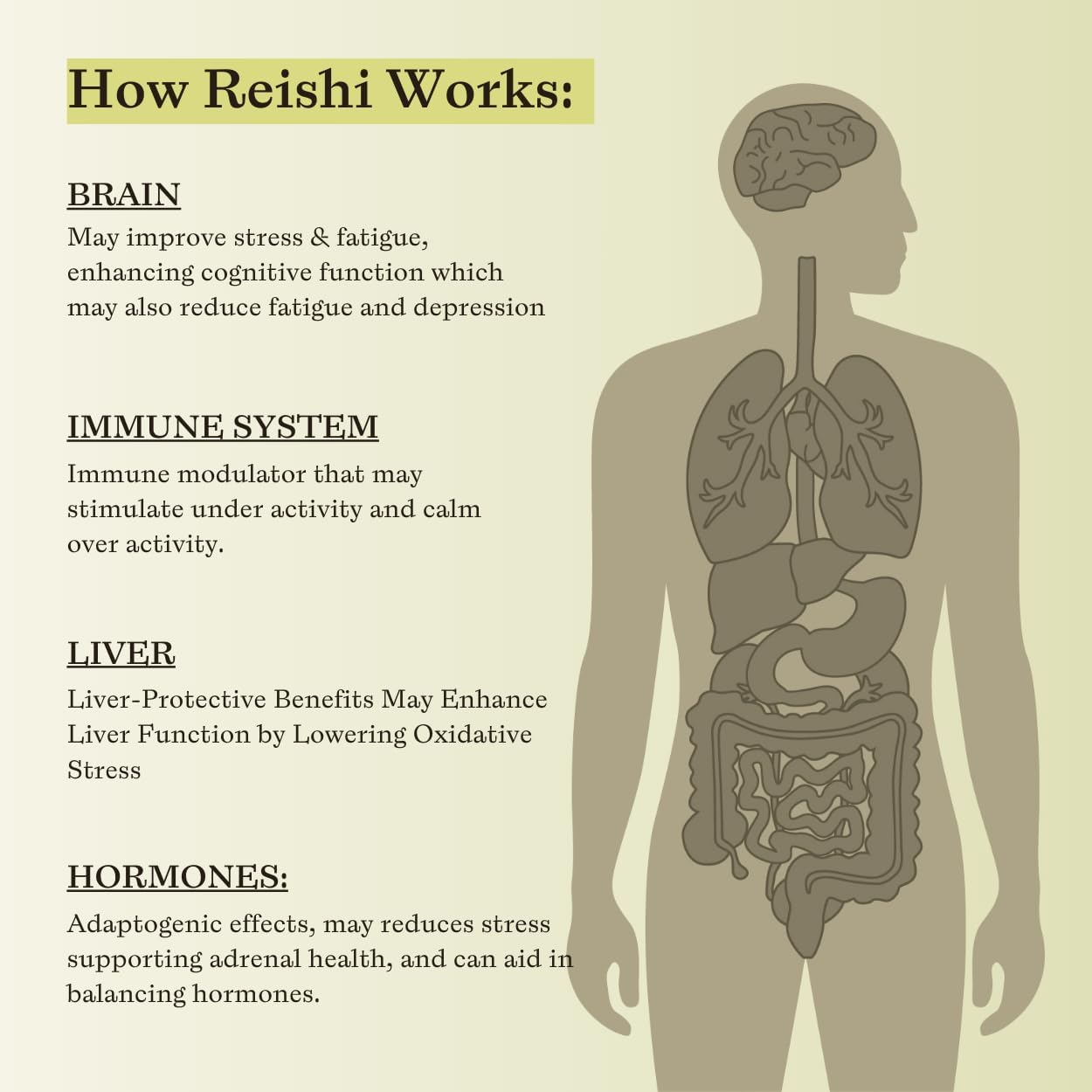 Maximum Potency SUBLUNA Reishi Triple Extract Tincture for Immune Support, Stress Relief, and Mood Balance - Powerful Adaptogen Liquid Drops