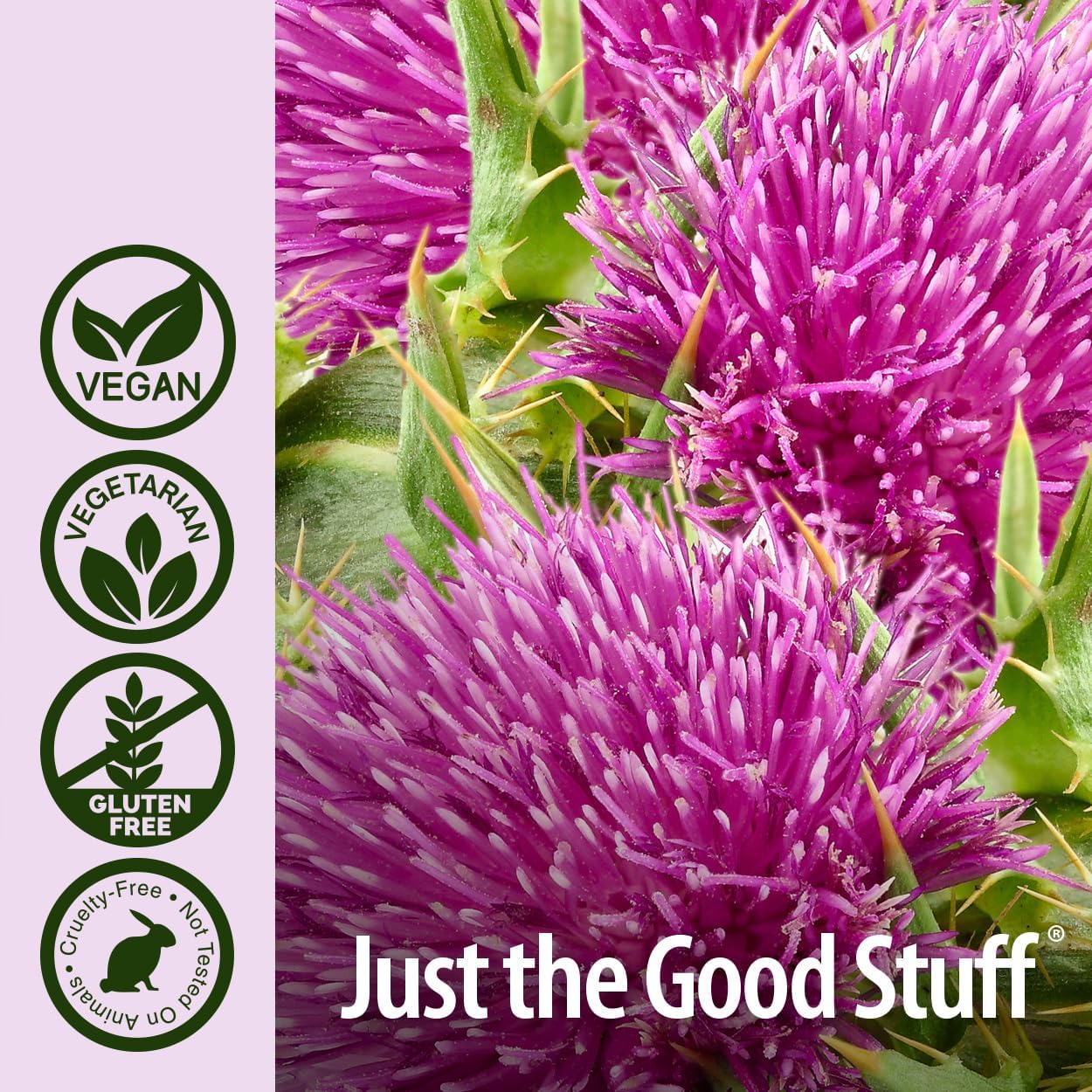 Maximum Strength Milk Thistle Capsules - Supports Healthy Liver, Digestion, Upset Stomach - Silymarin & Natural Ingredients