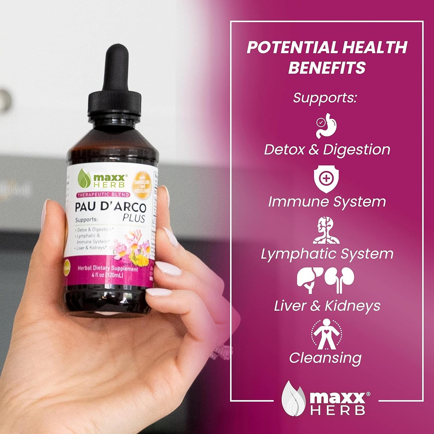 Maxx Herb PAU D'Arco Extract with Dandelion Root & Red Clover Therapeutic Blend for Immune Support - 4 Bottles, 240 Servings