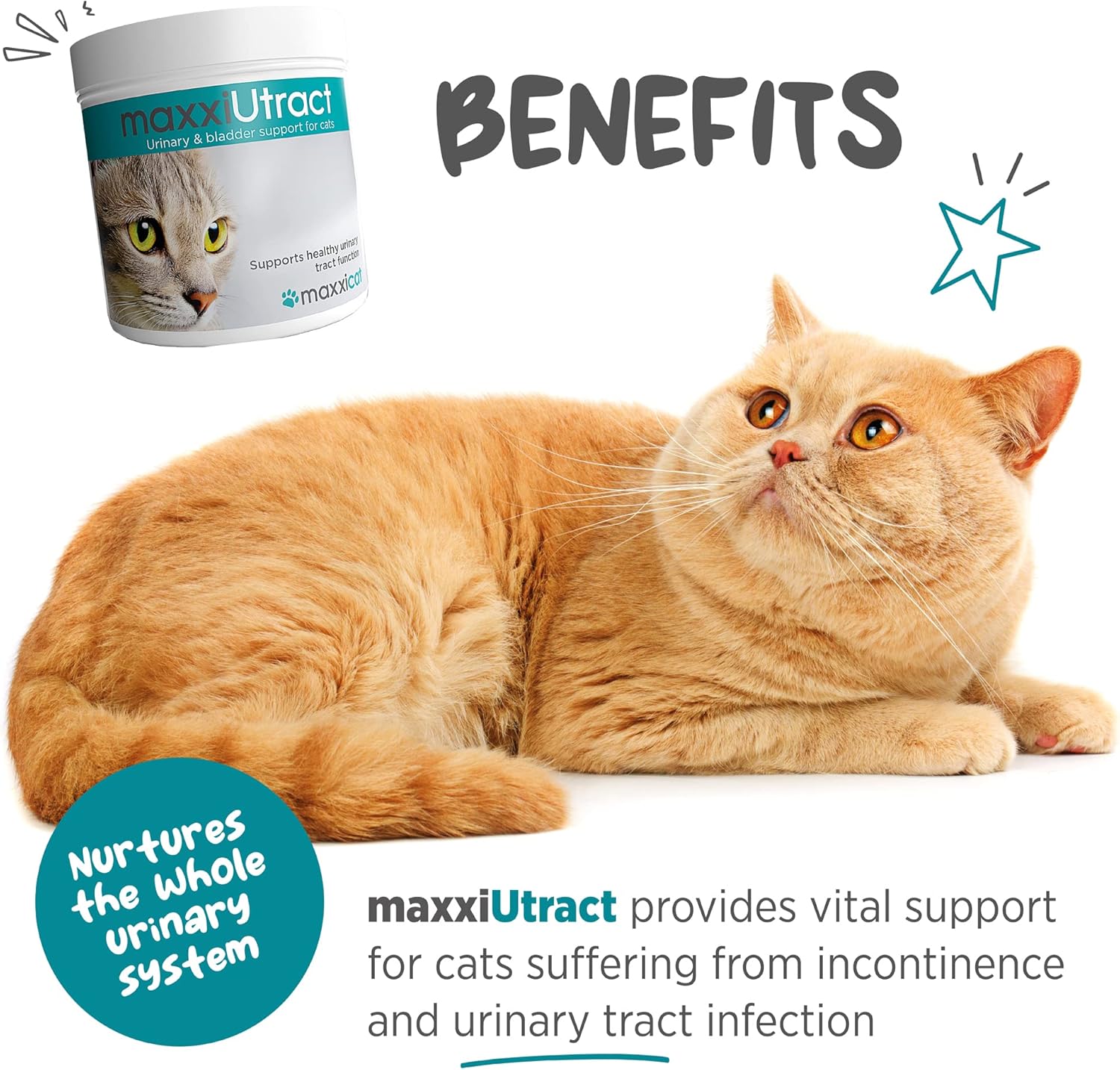 maxxiUtract Urinary & Bladder Support Powder Supplement for Cats - 2.1oz