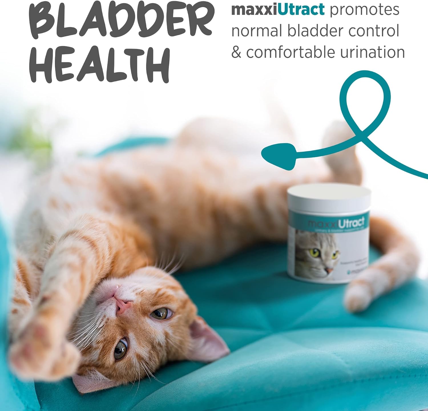 maxxiUtract Urinary & Bladder Support Powder Supplement for Cats - 2.1oz