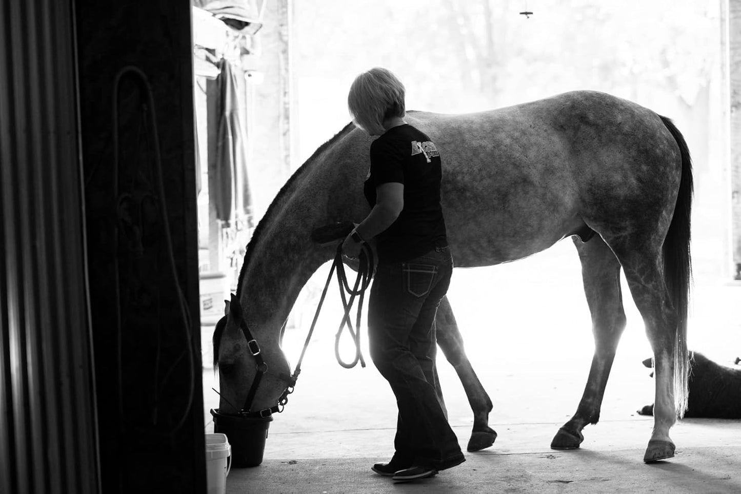 Med-Vet Pharmaceuticals Mega-Cell 25lb Balanced Vitamin & Mineral Supplement for Horses
