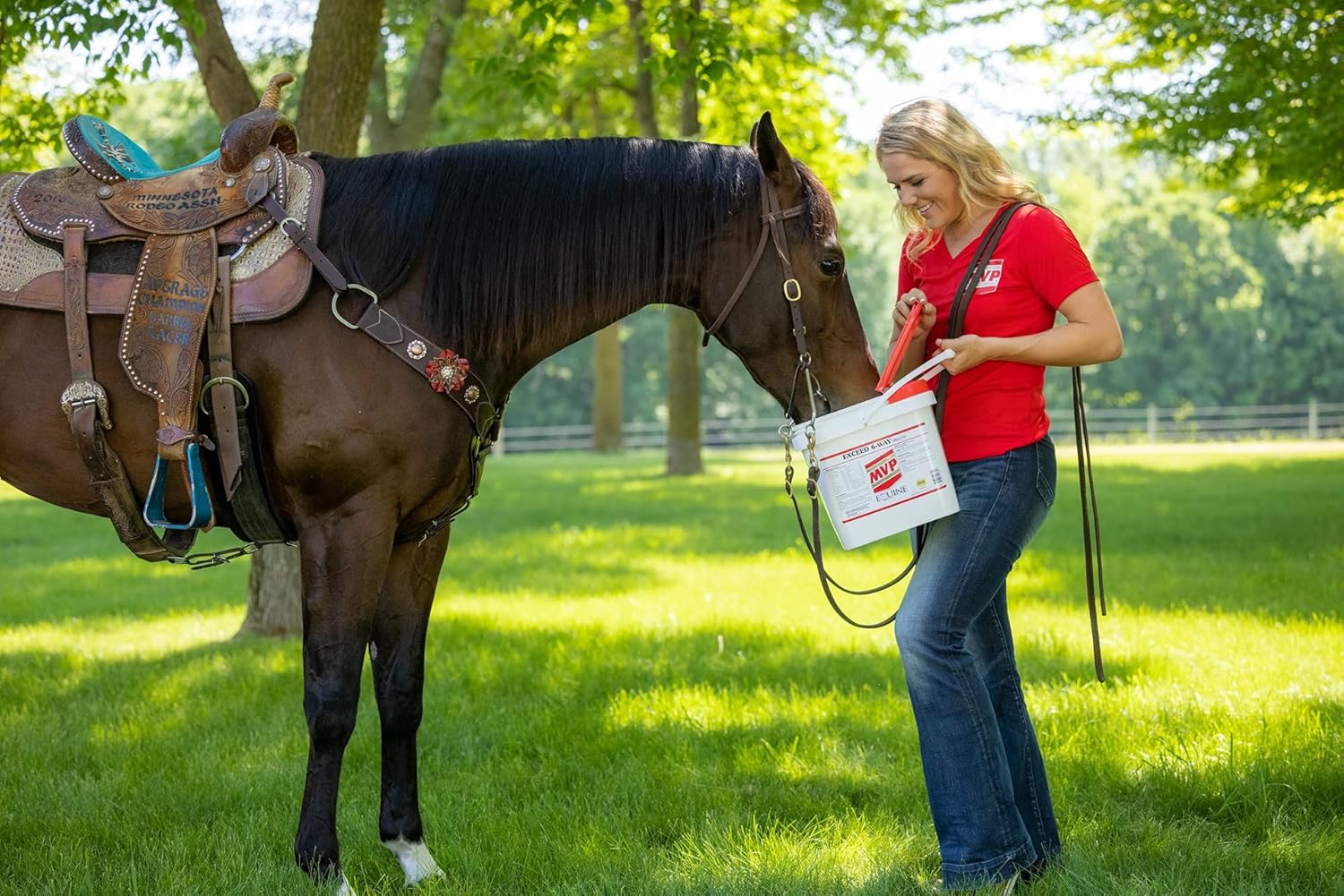 Med-Vet Pharmaceuticals MVP Exceed 6-Way Horse Support Pellets 16lb - Joint, Hoof, Hair, Gastric, Digestion, Muscle Support
