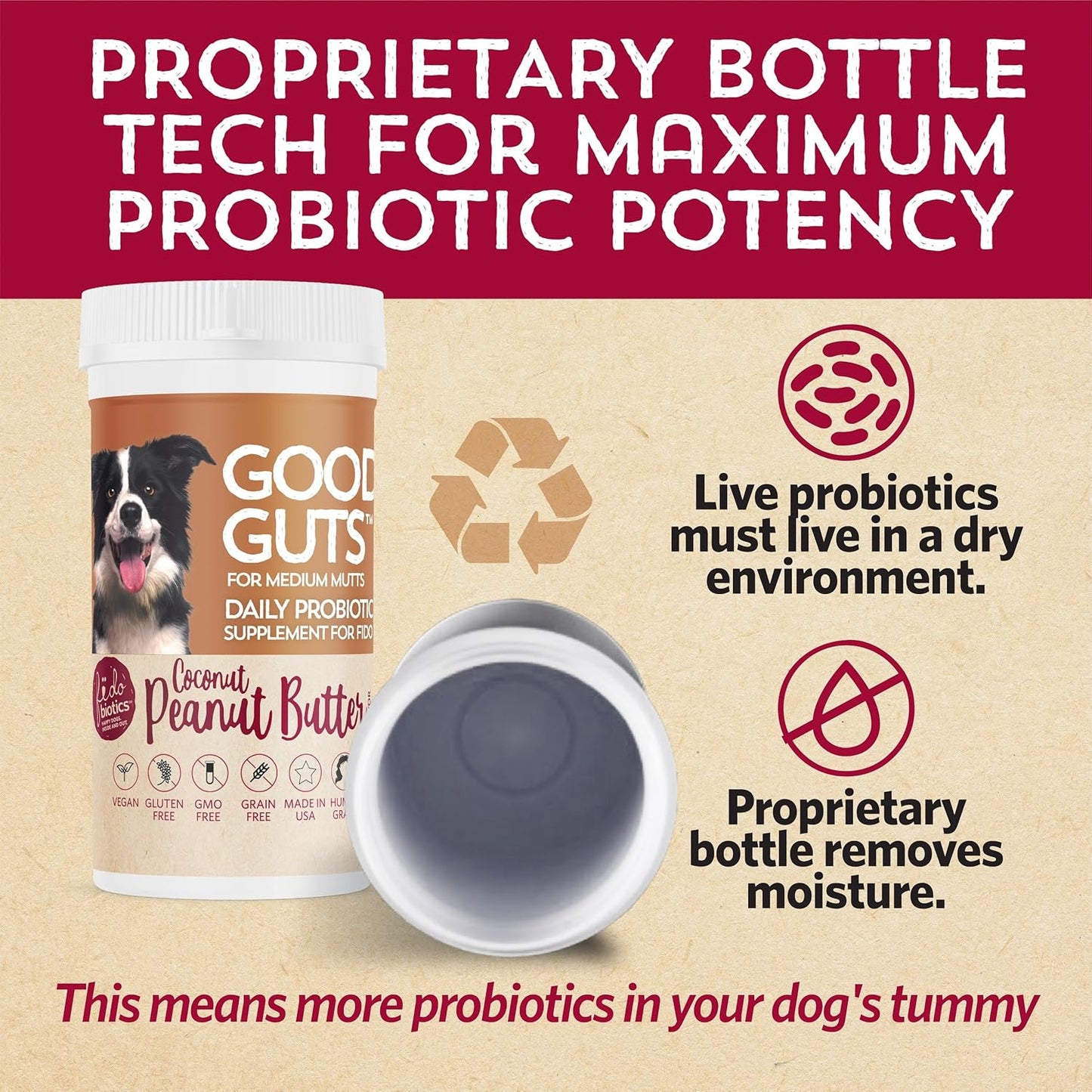 Medium Mutts Gut Health Probiotic for Dogs - 6 Billion CFUs, 11 Strains, 5 Enzymes, 2 Prebiotics - Adult & Puppy Supplement (30 Days)