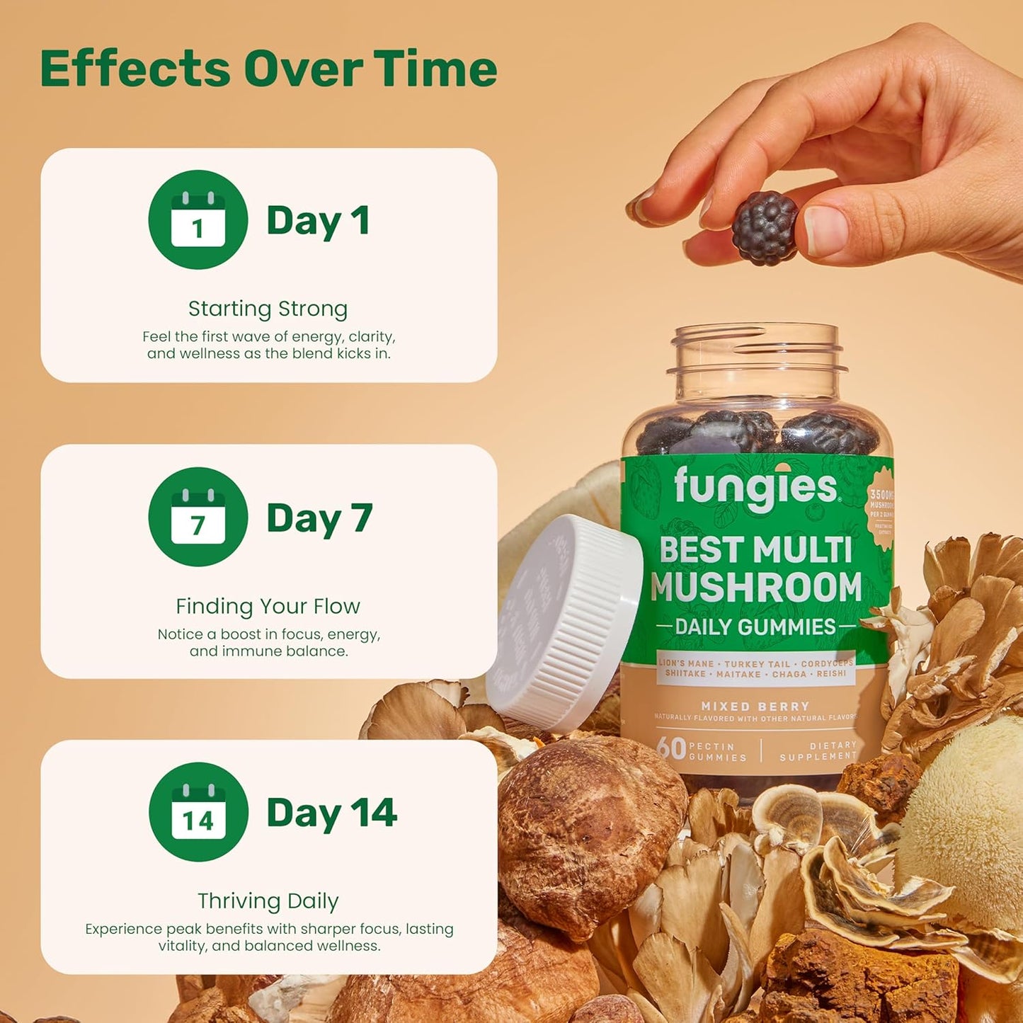 Men & Women's Mushroom Gummy Vitamins - Lion’s Mane, Cordyceps, Reishi & More - Gelatin-Free & Vegan