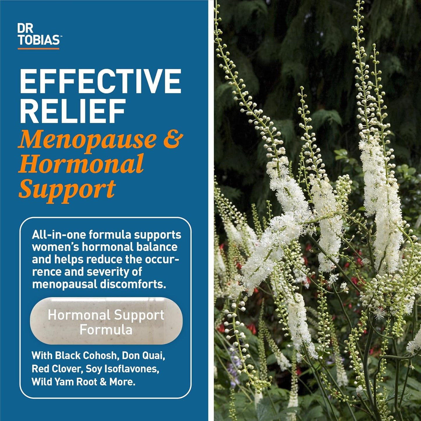 Menopause Relief Supplement with Black Cohosh, Soy Isoflavones, Don Quai - Hot Flash & Night Sweats Relief - Non-GMO Women's Menopause Supplements, 60 Capsules
