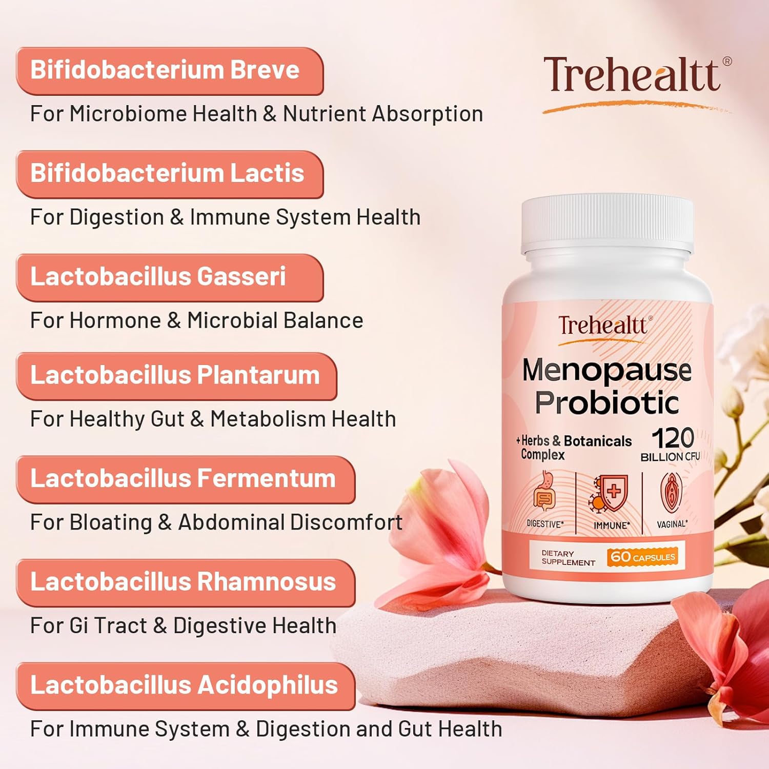 Menopause Support Supplement with 120 Billion CFU Probiotic, 13-in-1 Herbal Complex for Hormonal Balance, Hot Flashes, Night Sweats, Mood Swings, Sleep - 60 Vegan Capsules