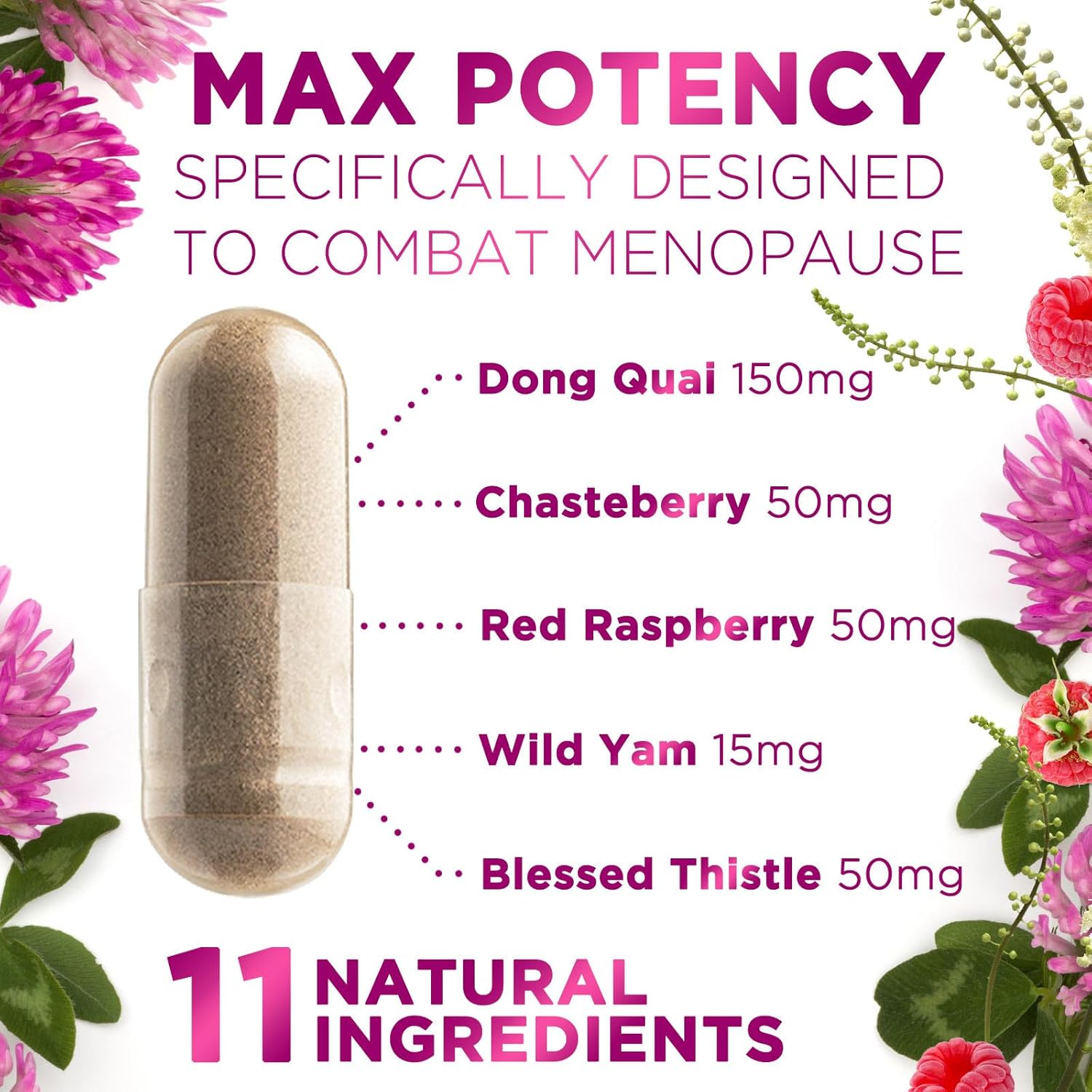 Menopause Support Vitamins - Relief for Hot Flashes & Night Sweats, Natural Balance Aid, Non-GMO - 60 Capsules