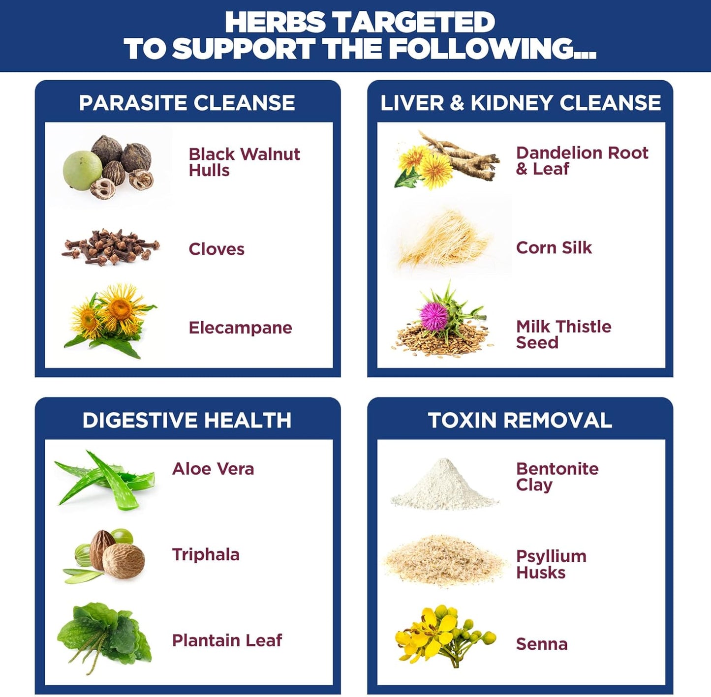 Men's 30 Day Internal Cleansing Kit - Prostate & Colon Health - Kidney & Liver Support - Natural Herbal Supplements with Psyllium Fiber, Aloe Vera, Milk Thistle Seed