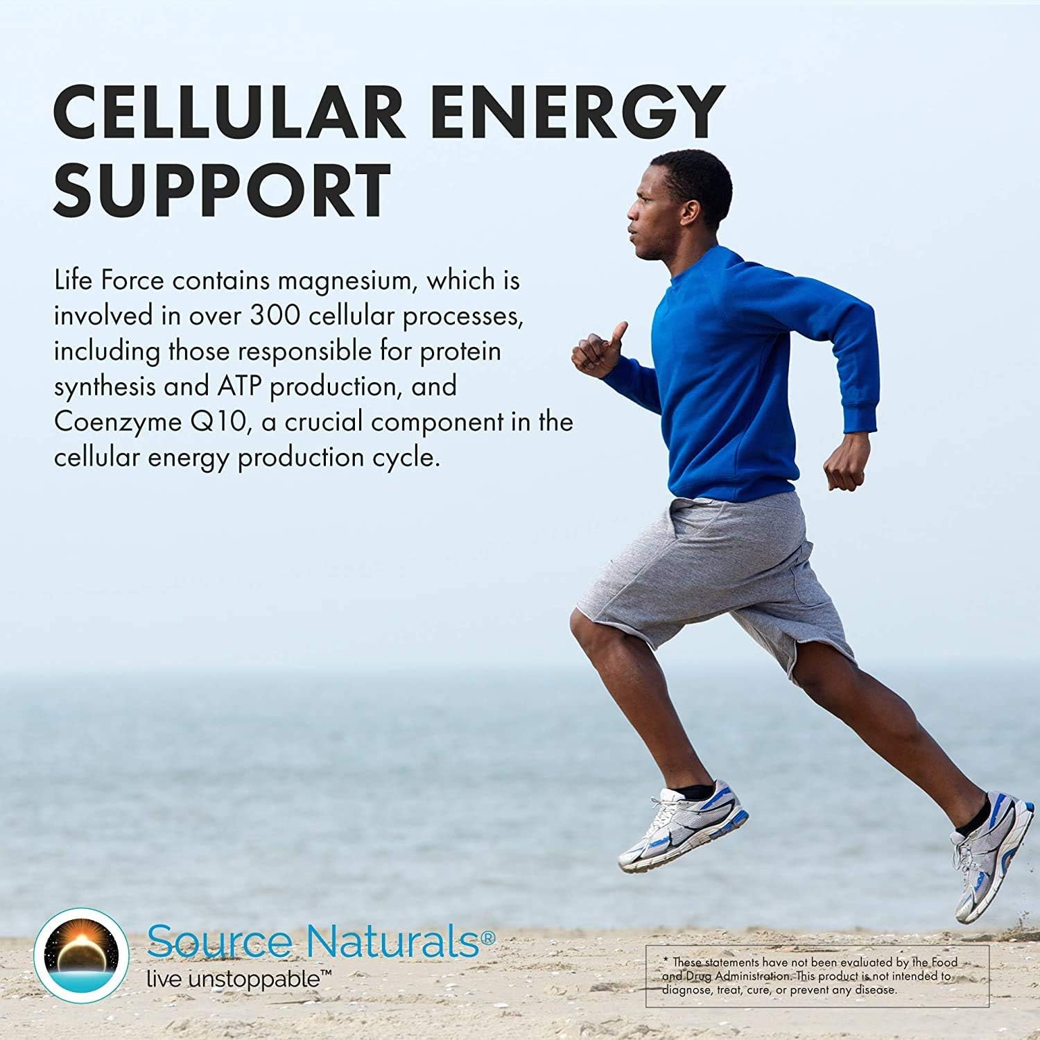 Men's Life Force 90 Tablets by Source Naturals - Daily Multivitamin for Men's Health and Vitality