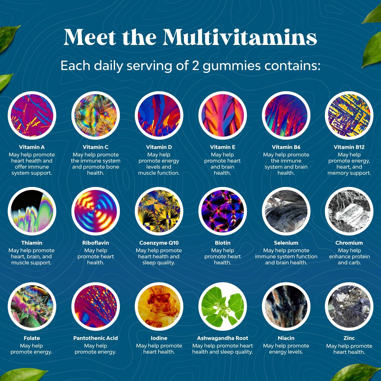 Men's Multivitamin Gummies with Superfood Complex, CoQ10, and Ashwagandha - Daily Energy and Immunity Support - Vegetarian (2 Month Supply)