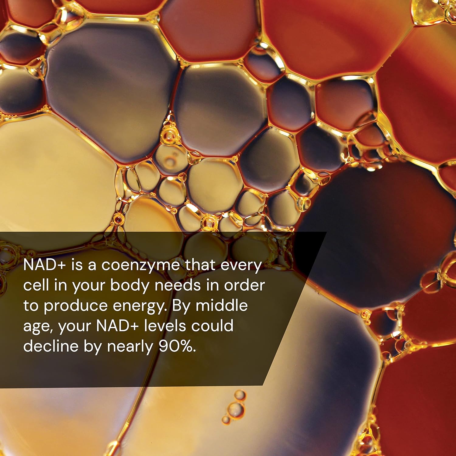 Men's Performance Stack: Novex Biotech GF-9 & OxyDrene - Boost Energy, Drive, VO2 Max, NAD+ - 30 Day Supply