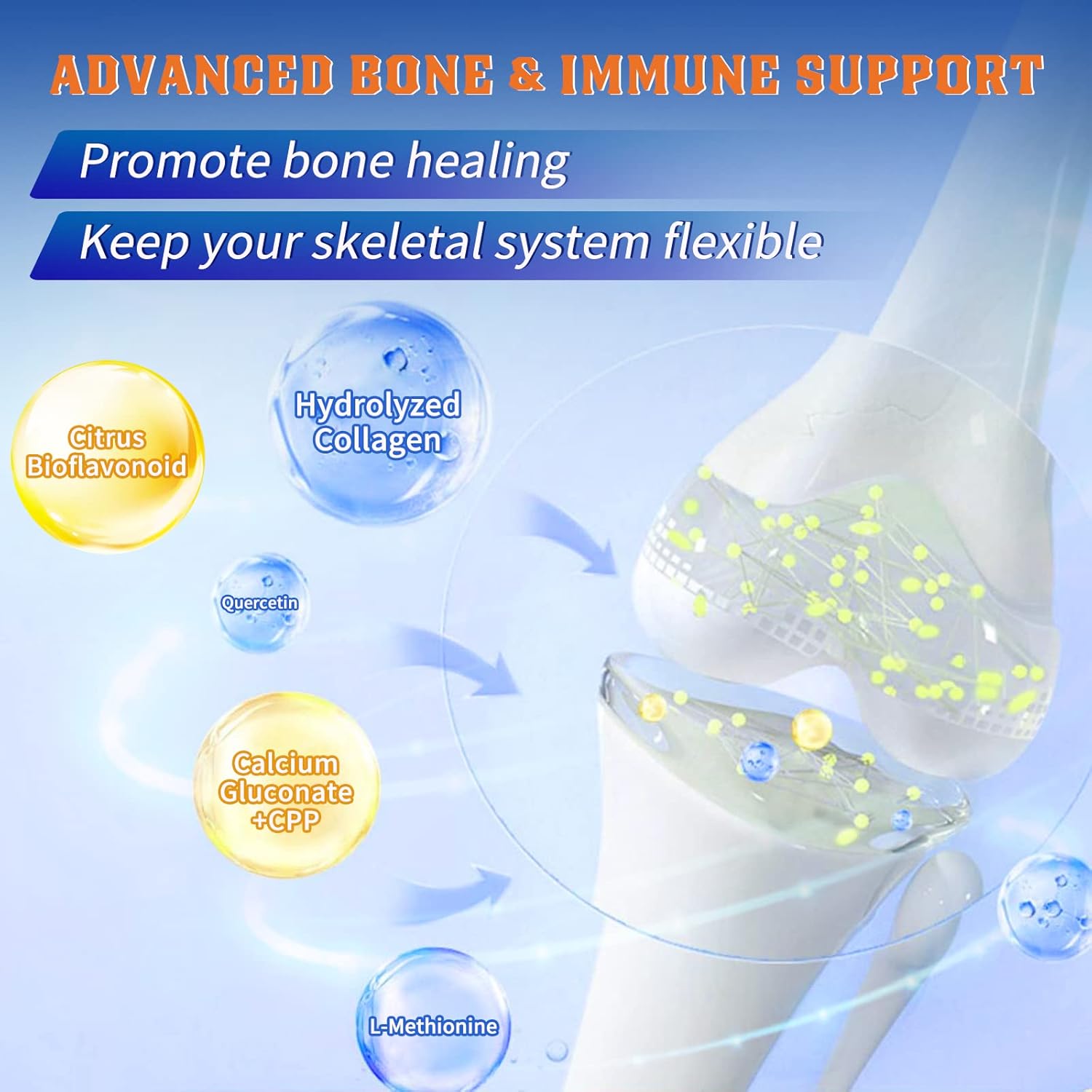 Men's Probiotics with Glucosamine Chondroitin MSM for Joint Support - Shellfish Free Supplement