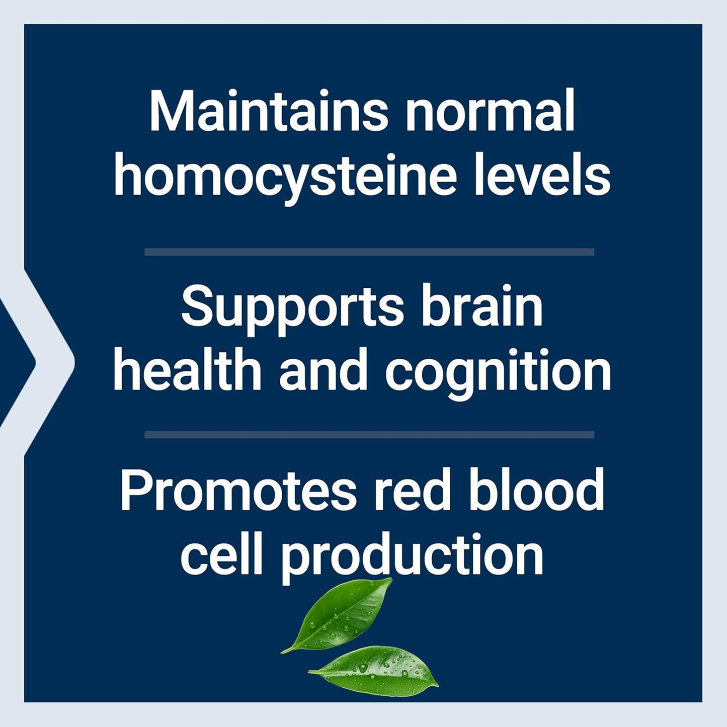 Methylcobalamin Vitamin B12 500mcg Lozenges - Energy and Brain Health Supplement - Vegetarian, Sugar Free - 100 Count