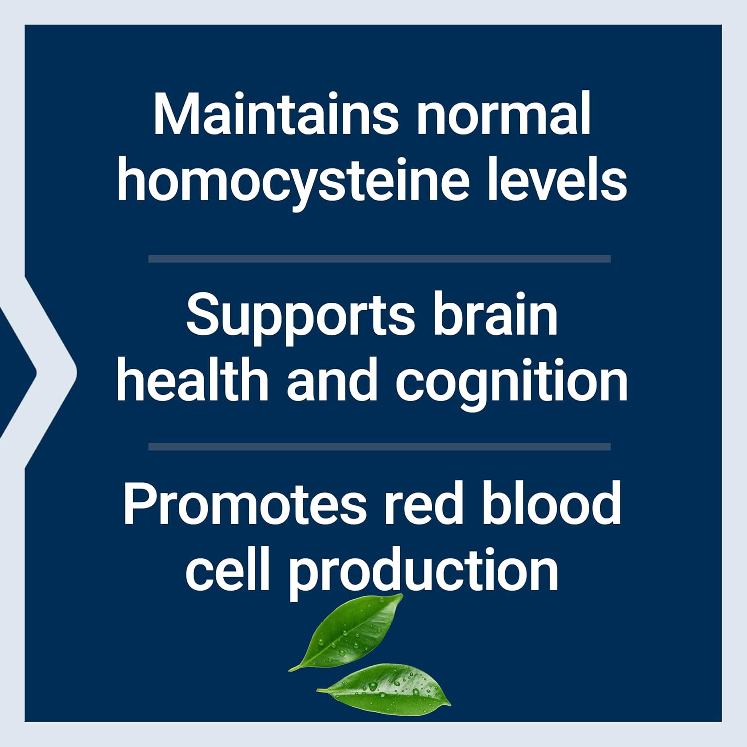 Methylcobalamin Vitamin B12 500mcg Lozenges - Energy and Brain Health Supplement - Vegetarian, Sugar Free - 100 Count