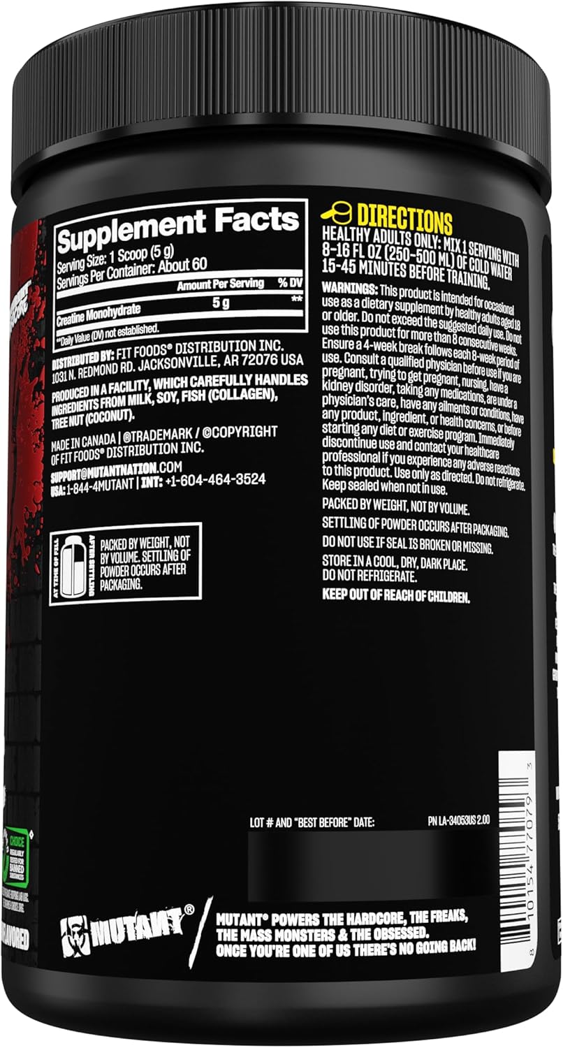 Micronized Creatine Monohydrate Powder for High-Intensity Performance - 60 Servings - 300g Unflavored Supplement