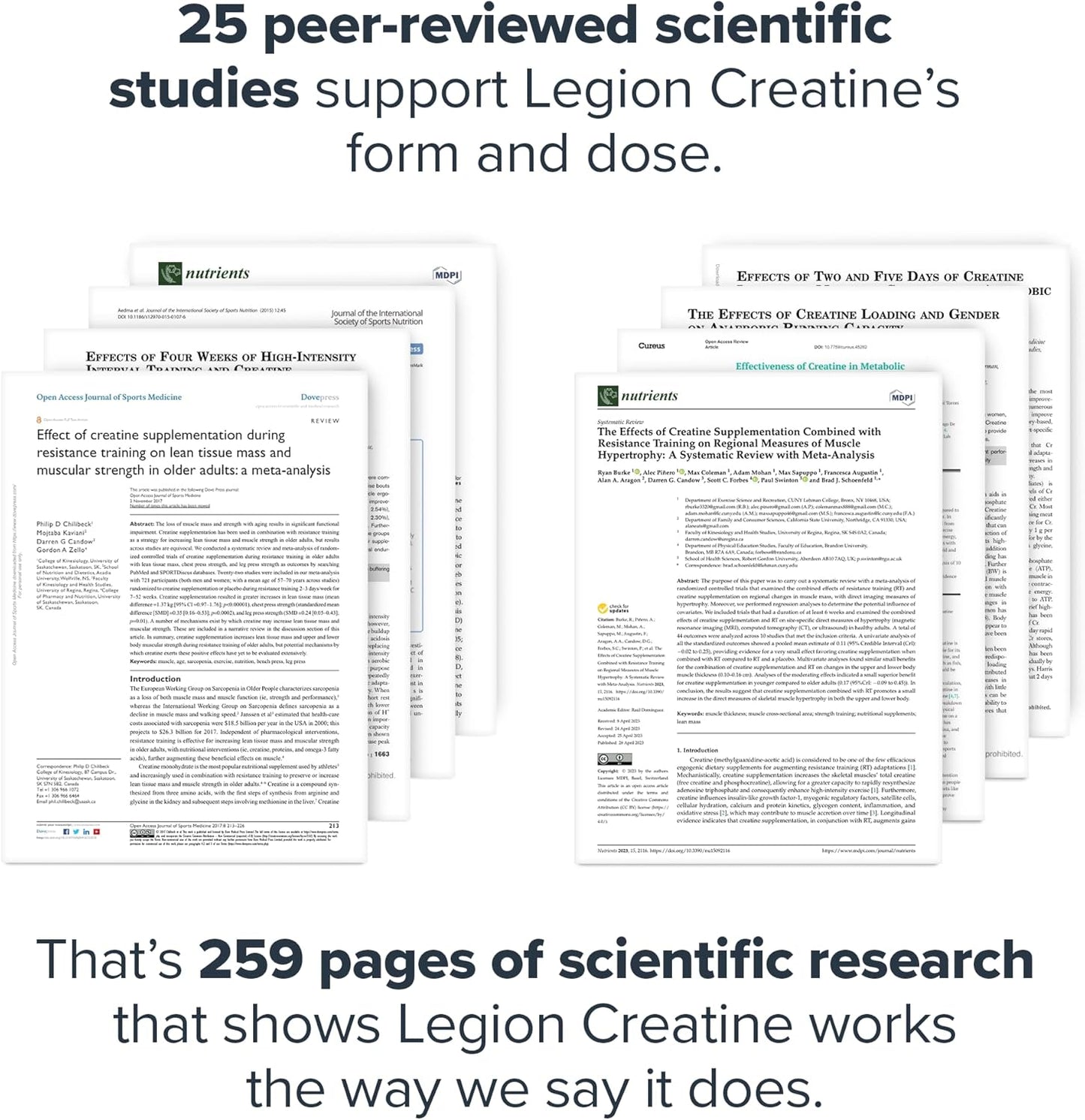 Micronized Creatine Monohydrate Powder for Muscle Gain & Recovery - 100 Servings, Unflavored - High Absorption Creatine Supplement