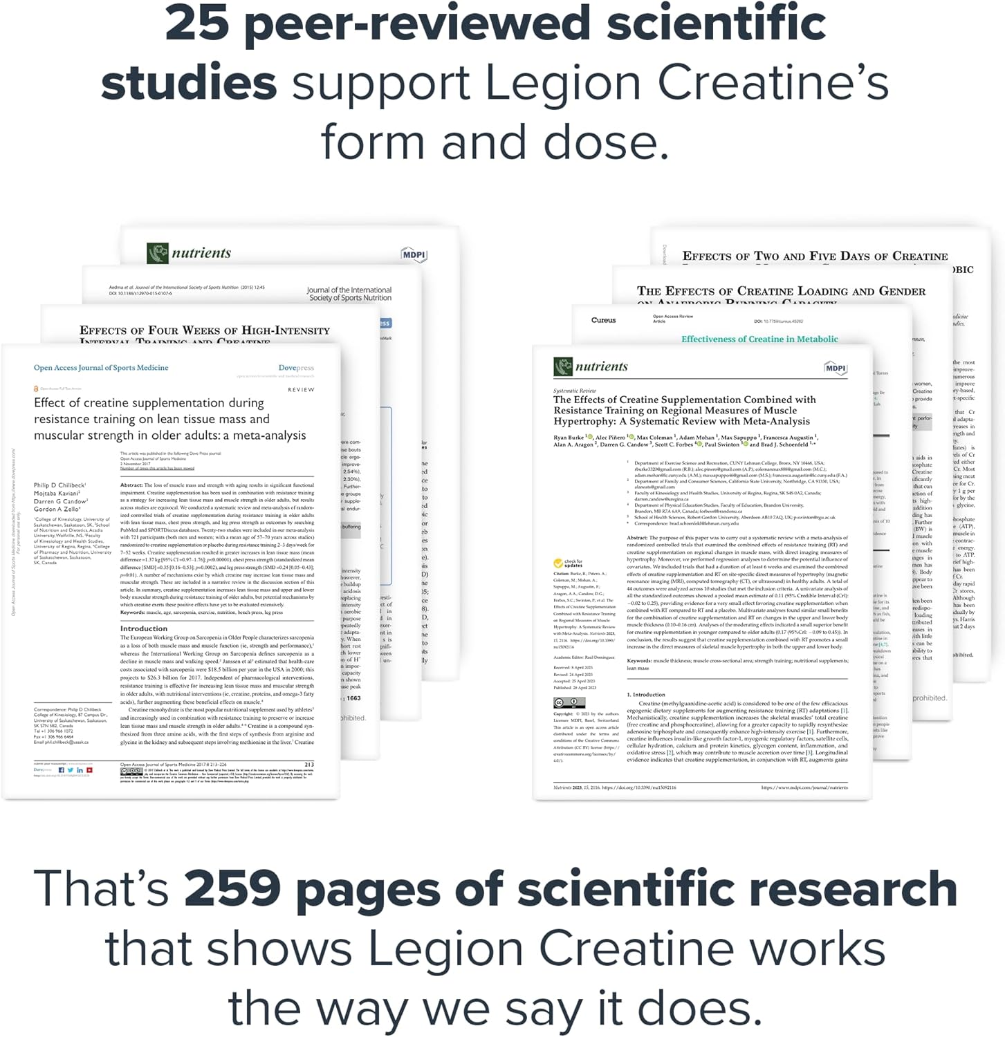 Micronized Creatine Monohydrate Powder for Muscle Gain & Recovery - 100 Servings, Unflavored - High Absorption Creatine Supplement