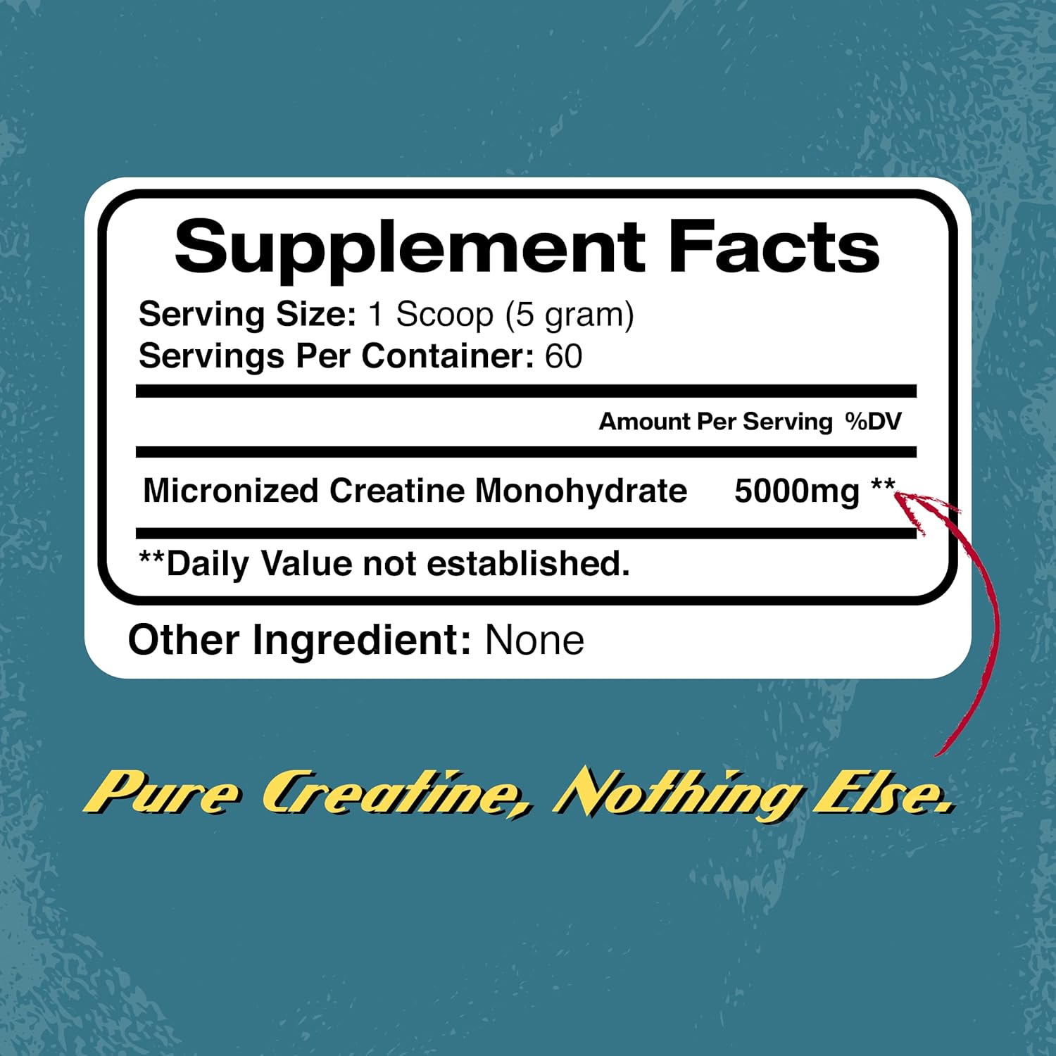Micronized Creatine Monohydrate Powder for Pre and Post Workout, Muscle Building, and Athletic Performance - 300g, 5000mg per Serving