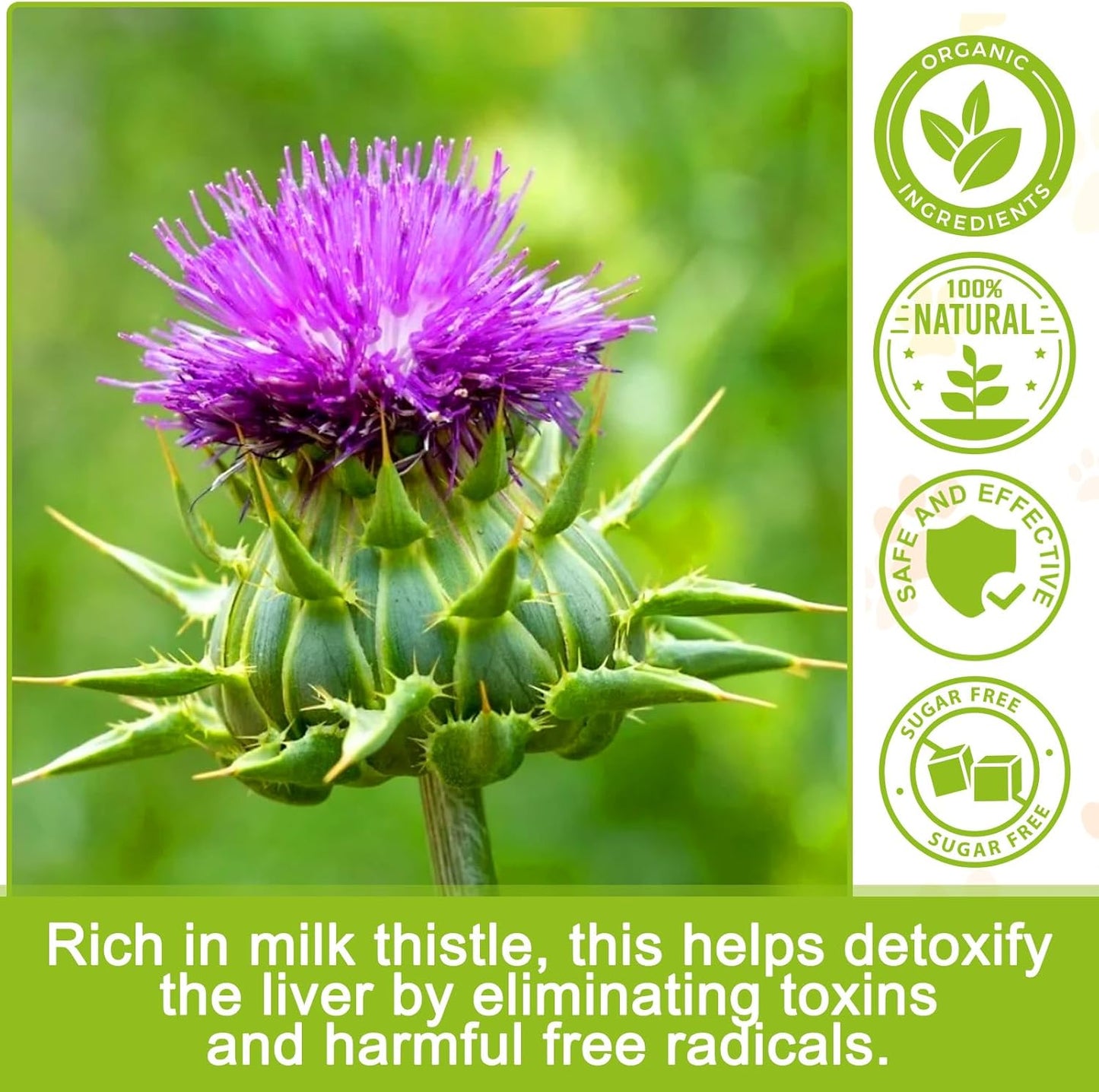 Milk Thistle Supplement for Dogs - Supports Liver, Kidney Health, Boosts Immune System - 180 Chewable Tablets