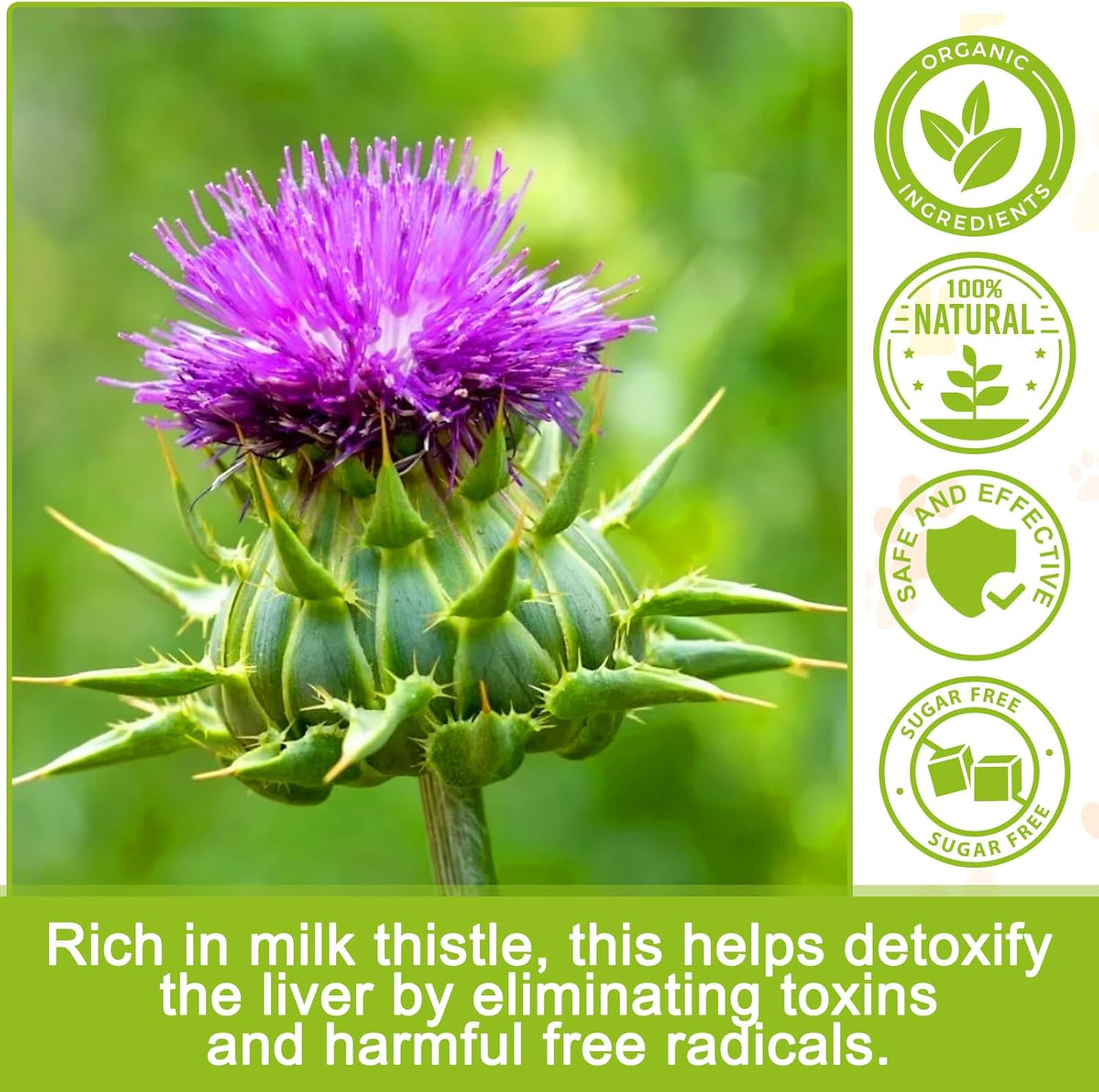 Milk Thistle Supplement for Dogs - Supports Liver, Kidney Health, Boosts Immune System - 180 Chewable Tablets