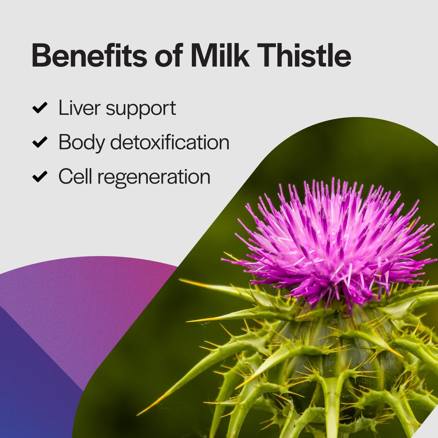Milk Thistle Supreme Capsules - 250mg Silybum Marianum Liver Health Antioxidant Support - Non-GMO Vegetarian - 60ct