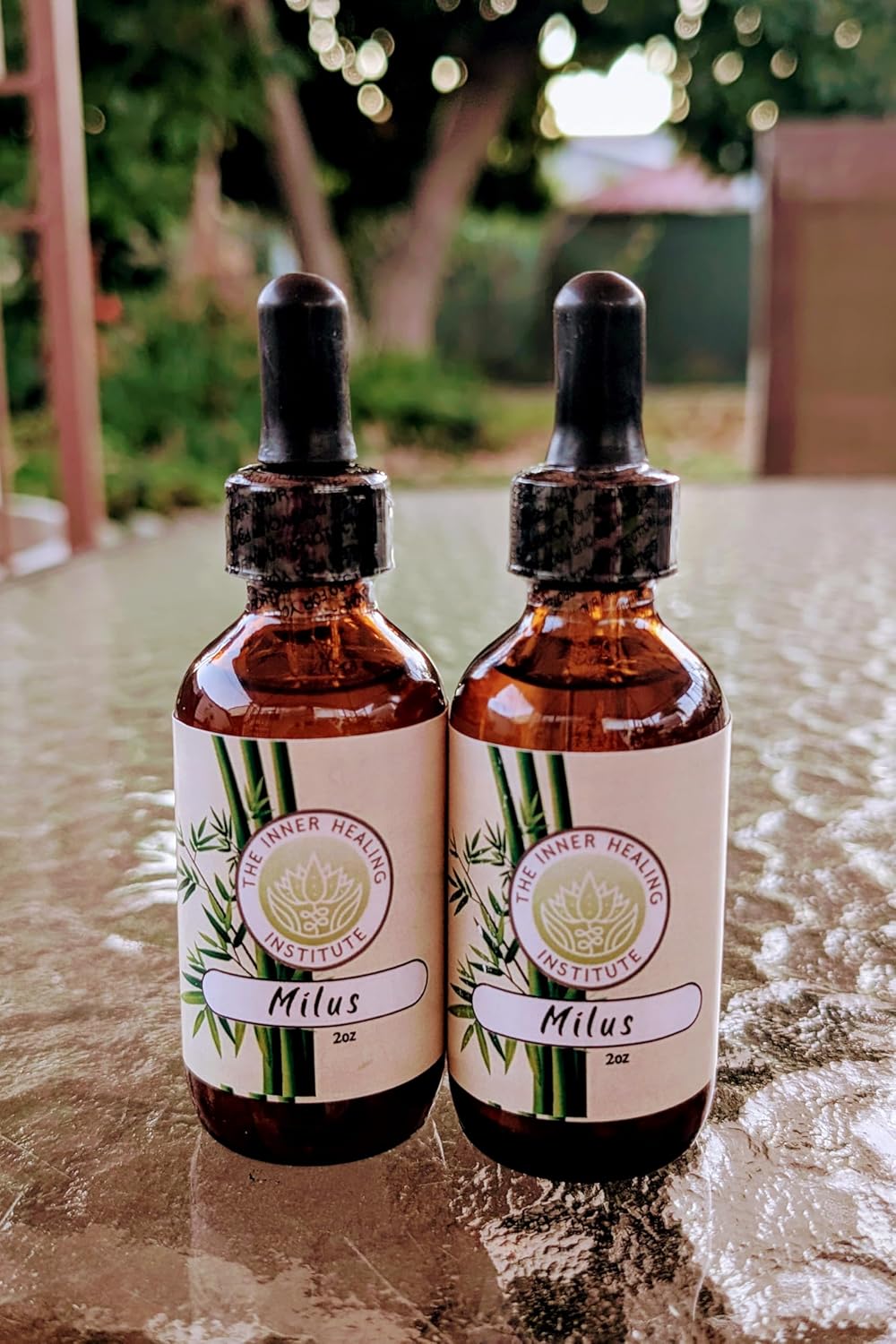 Milus 2oz Tincture: Oral Drops Supplement for Liver & Immune Support, Antioxidant for Heart Health, Nervous System, and Allergies