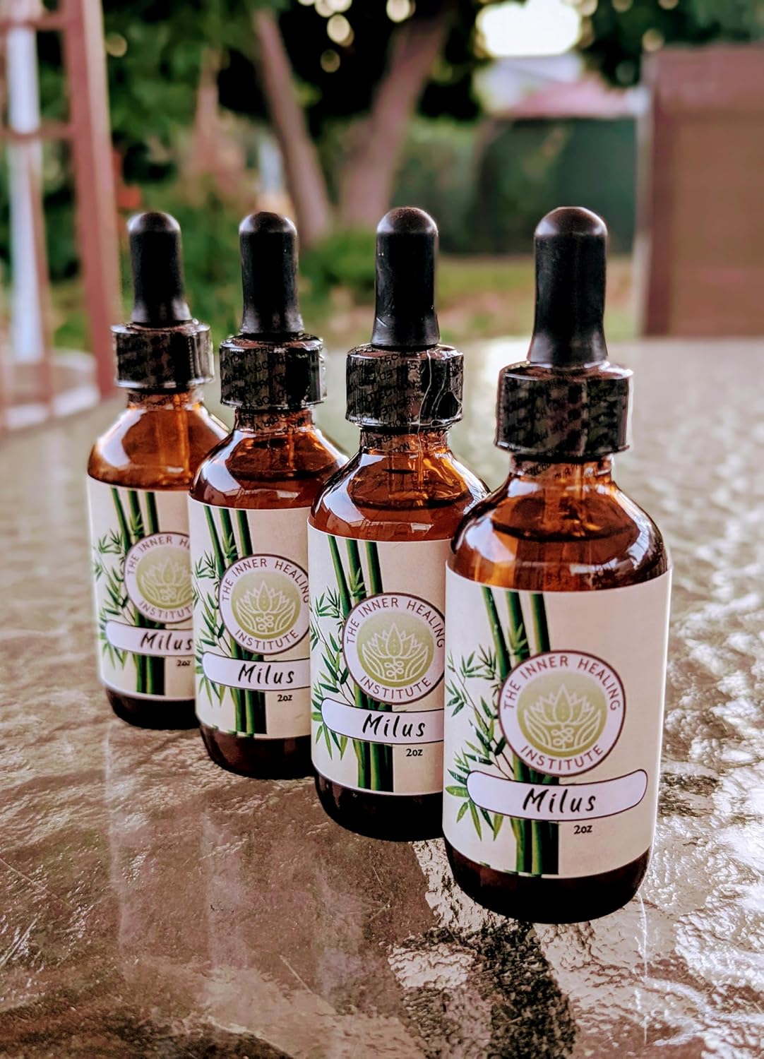 Milus 2oz Tincture: Oral Drops Supplement for Liver & Immune Support, Antioxidant for Heart Health, Nervous System, and Allergies