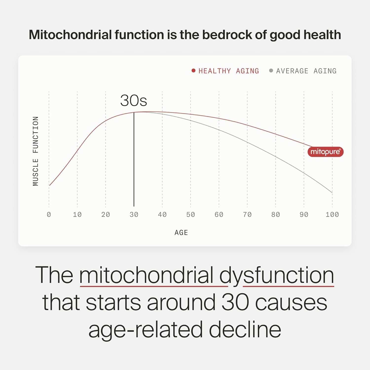 Mitopure Urolithin A Supplement for Healthy Aging and Muscle Strength - Clinically Proven Mitoceutical for Longevity - 30 Sachets