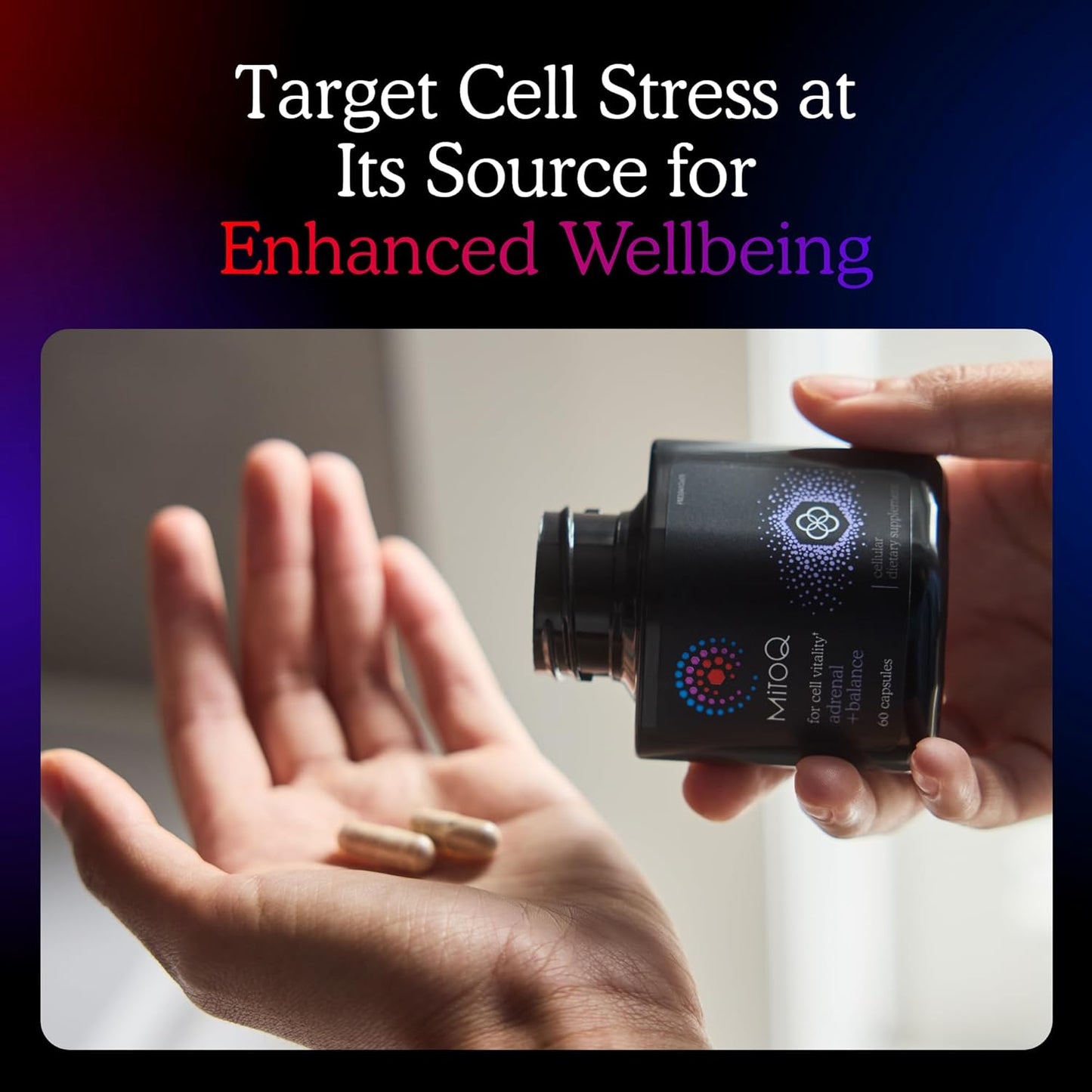 MitoQ +Balance Capsules with Sensoril Ashwagandha, Rhodiola & Maritime for Balanced Cortisol Levels, Stress Management, Sleep & Cell Health