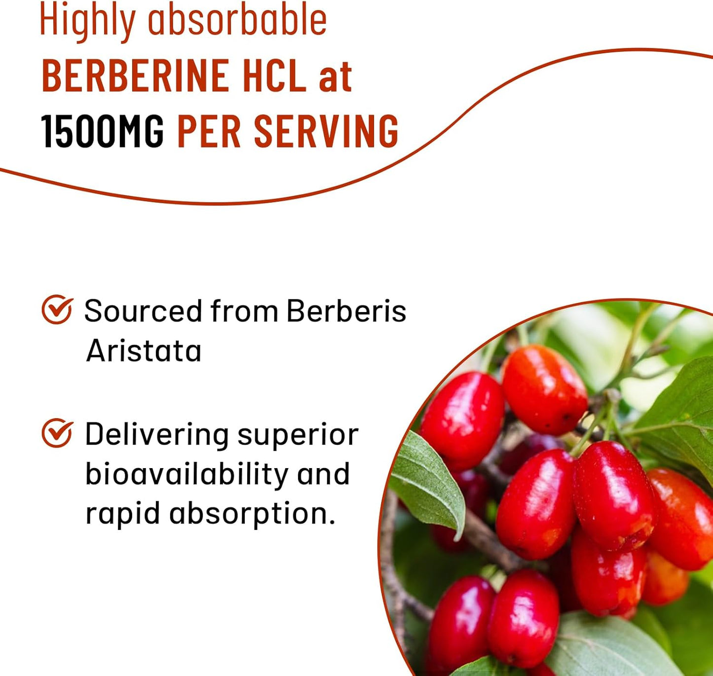 Mixed Berry Flavored Berberine Gummies with Ceylon Cinnamons and Milk Thistle - 120 Count for Adults and Kids