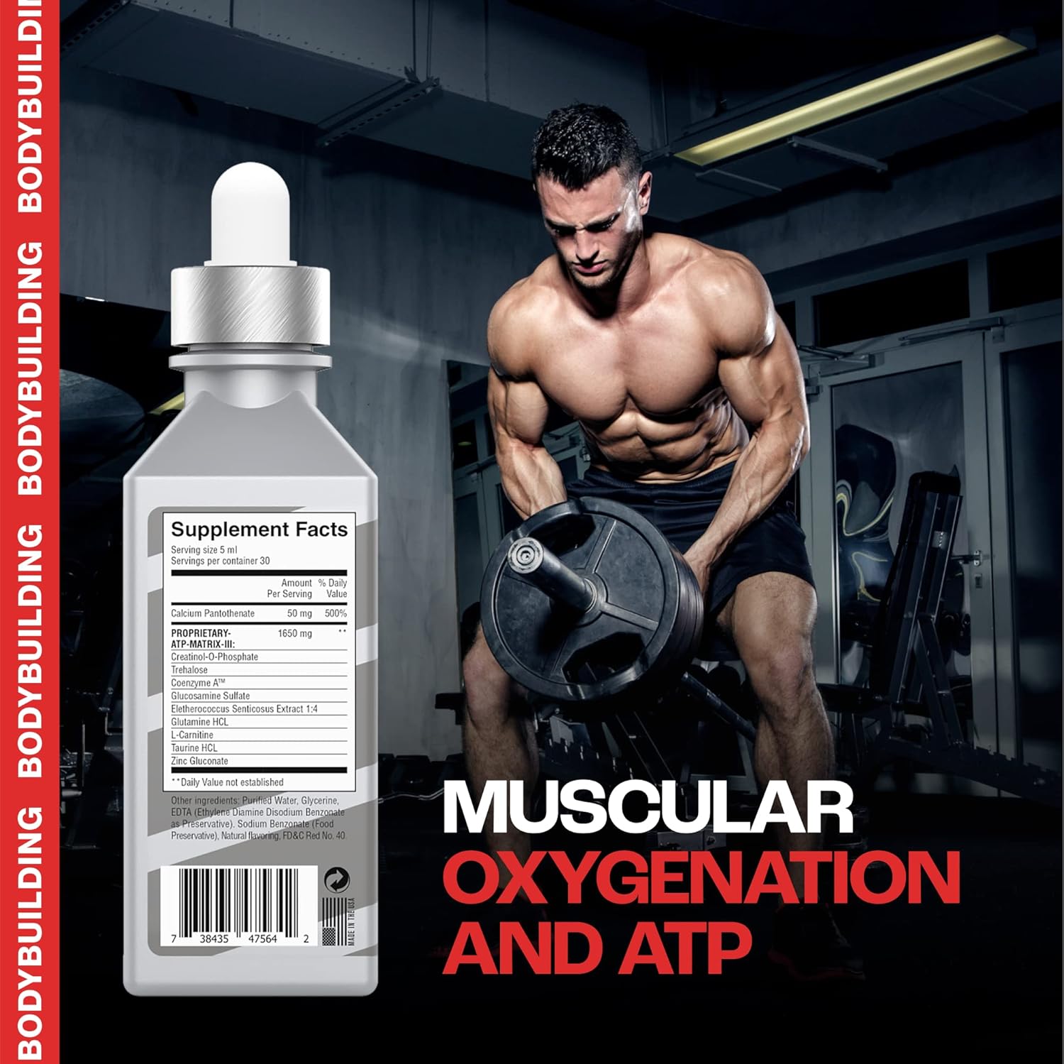 MMUSA XXTRAA Stable Creatine Serum for Bodybuilding & Powerlifting - Boost Muscle Mass, Strength, Energy, & Endurance. Speed Recovery & Reduce Lactic Acid with Joint Support - Grape Flavor, 5.1 Fl Oz