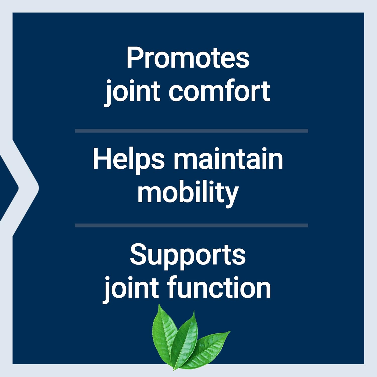 Mobility and Flexibility Support with Curcumin Elite™ Turmeric Extract - 60 Vegetarian Capsules, Non-GMO