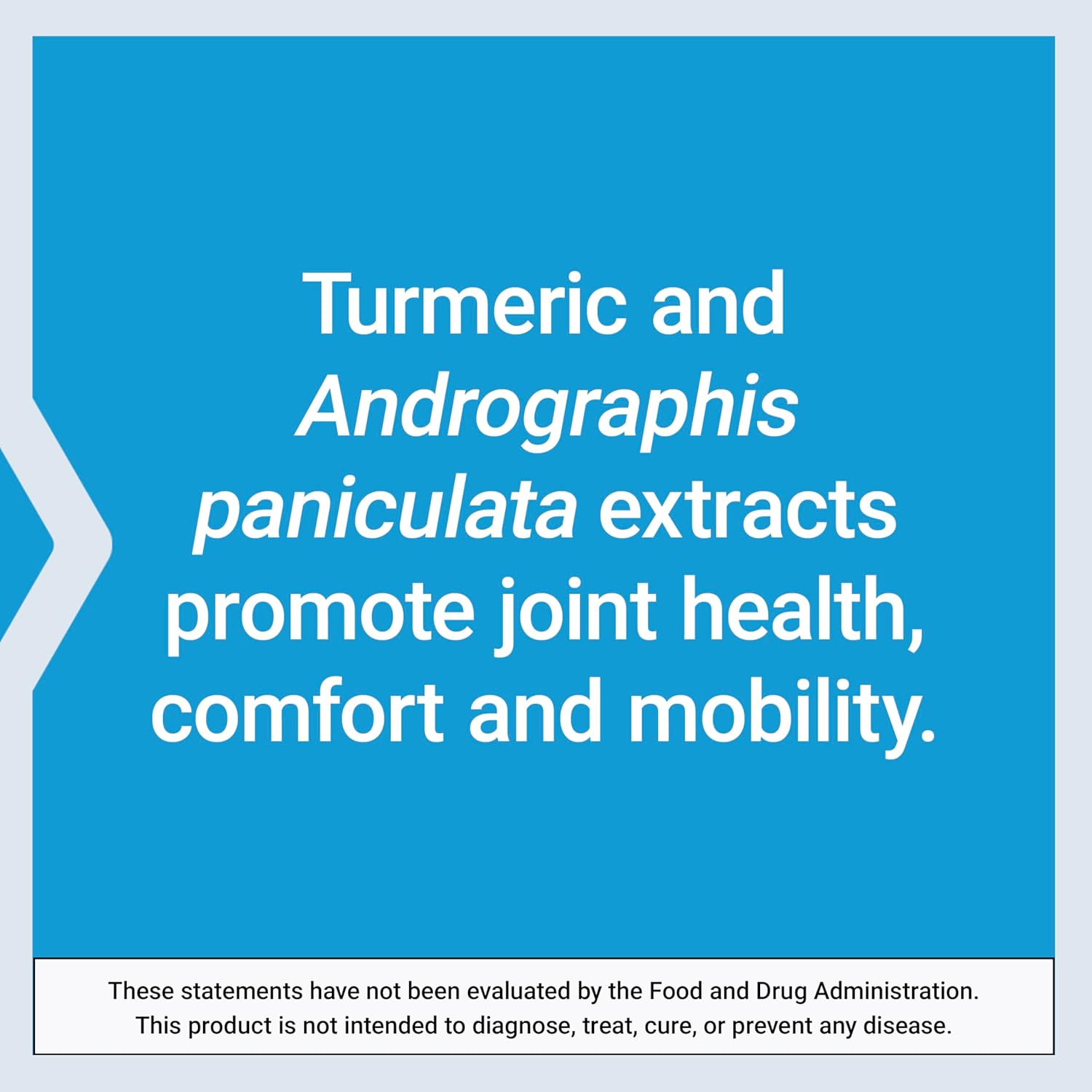 Mobility and Flexibility Support with Curcumin Elite™ Turmeric Extract - 60 Vegetarian Capsules, Non-GMO